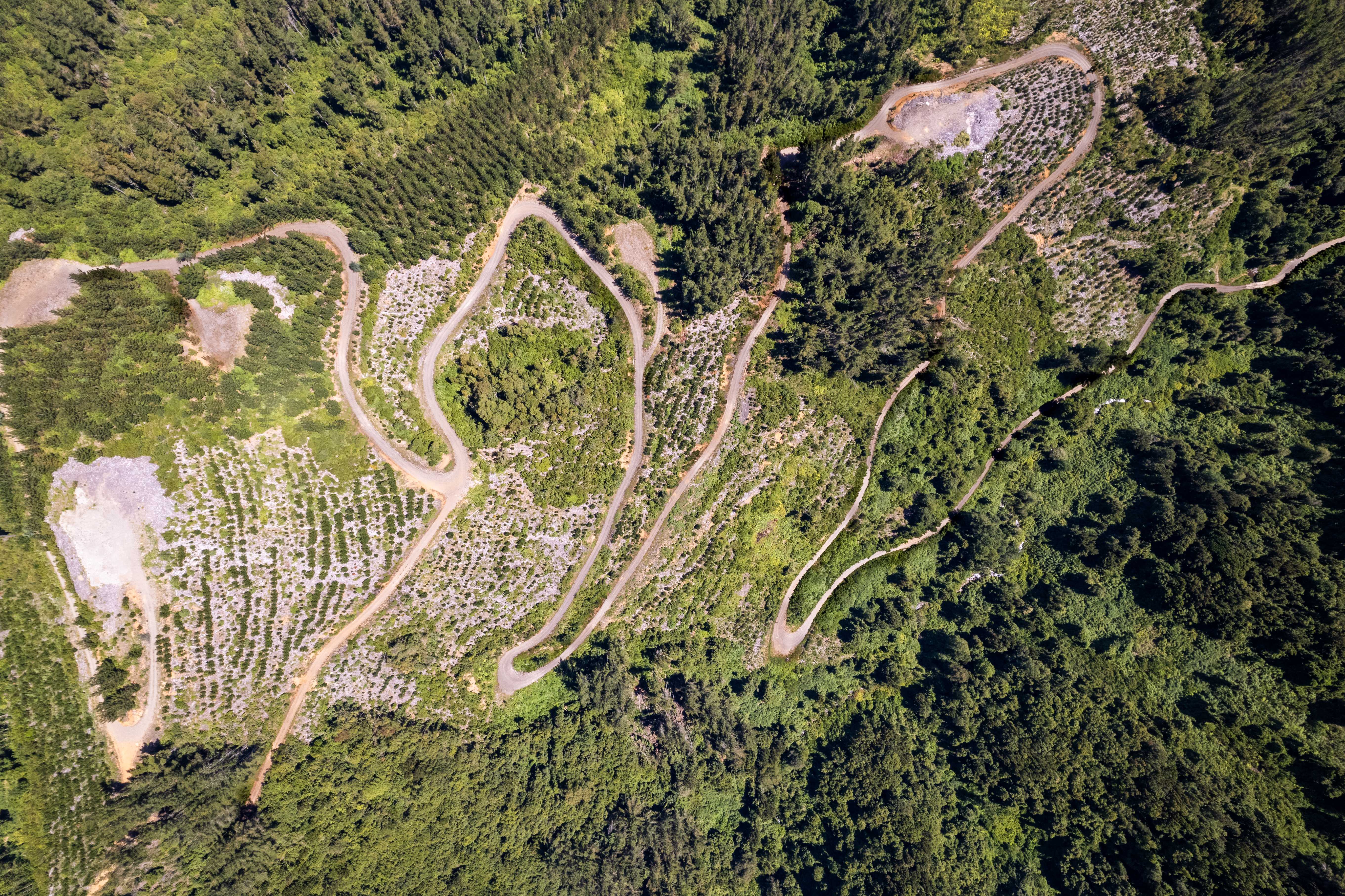 Venta Parcela Cunco - La Araucanía