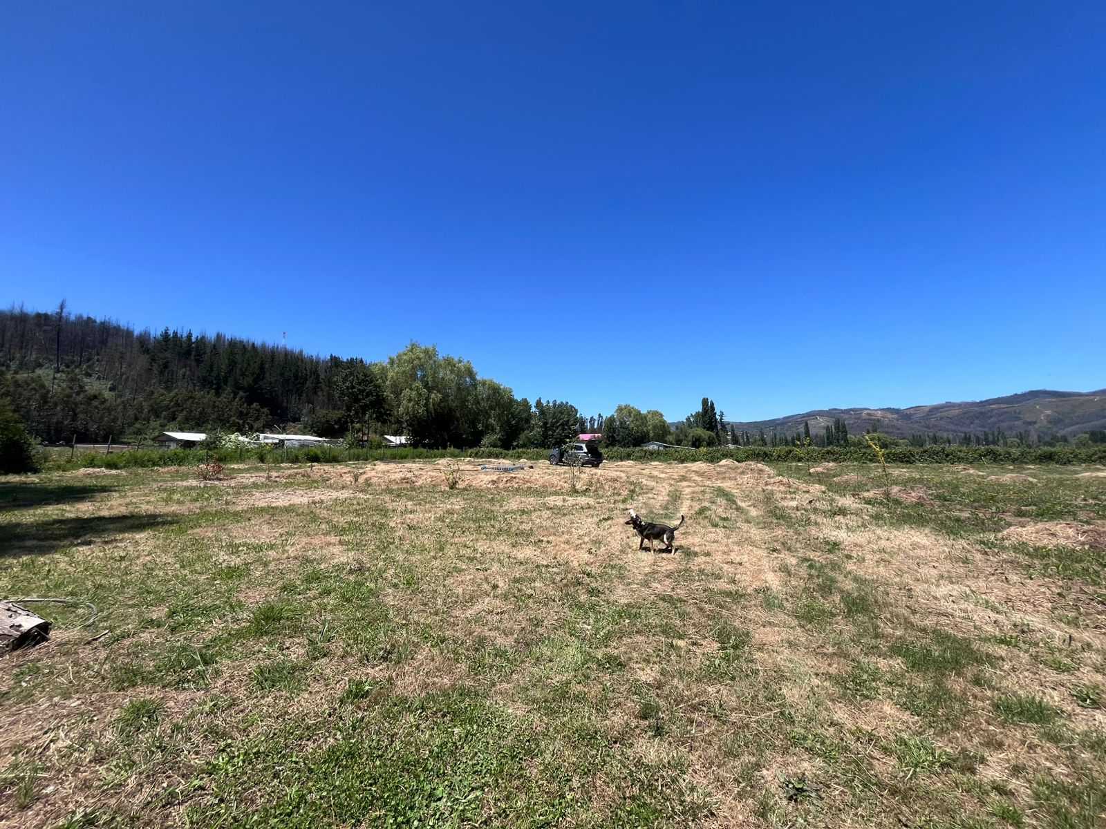 Venta Terreno Santa Juana - Biobío