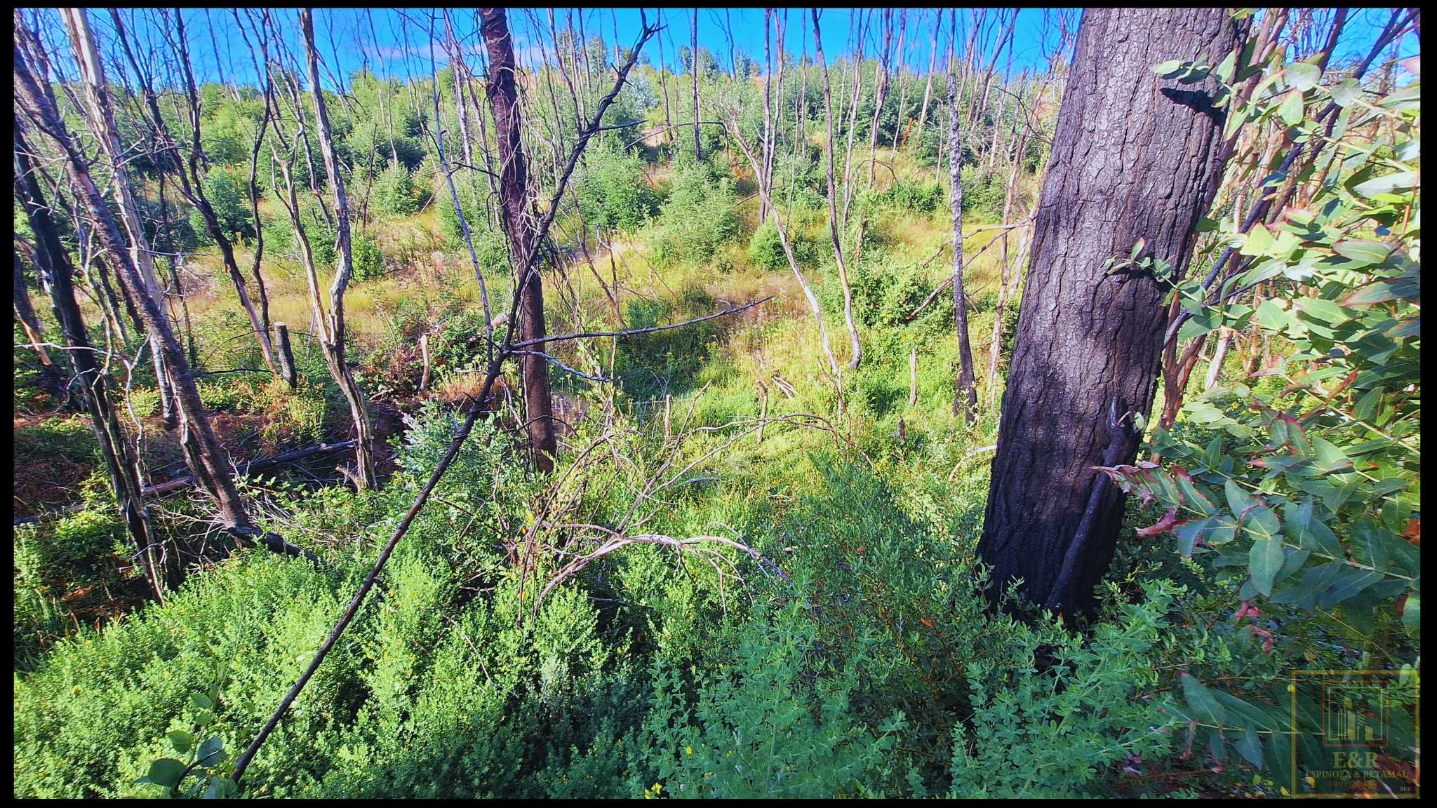 Venta Terreno Santa Juana - Biobío