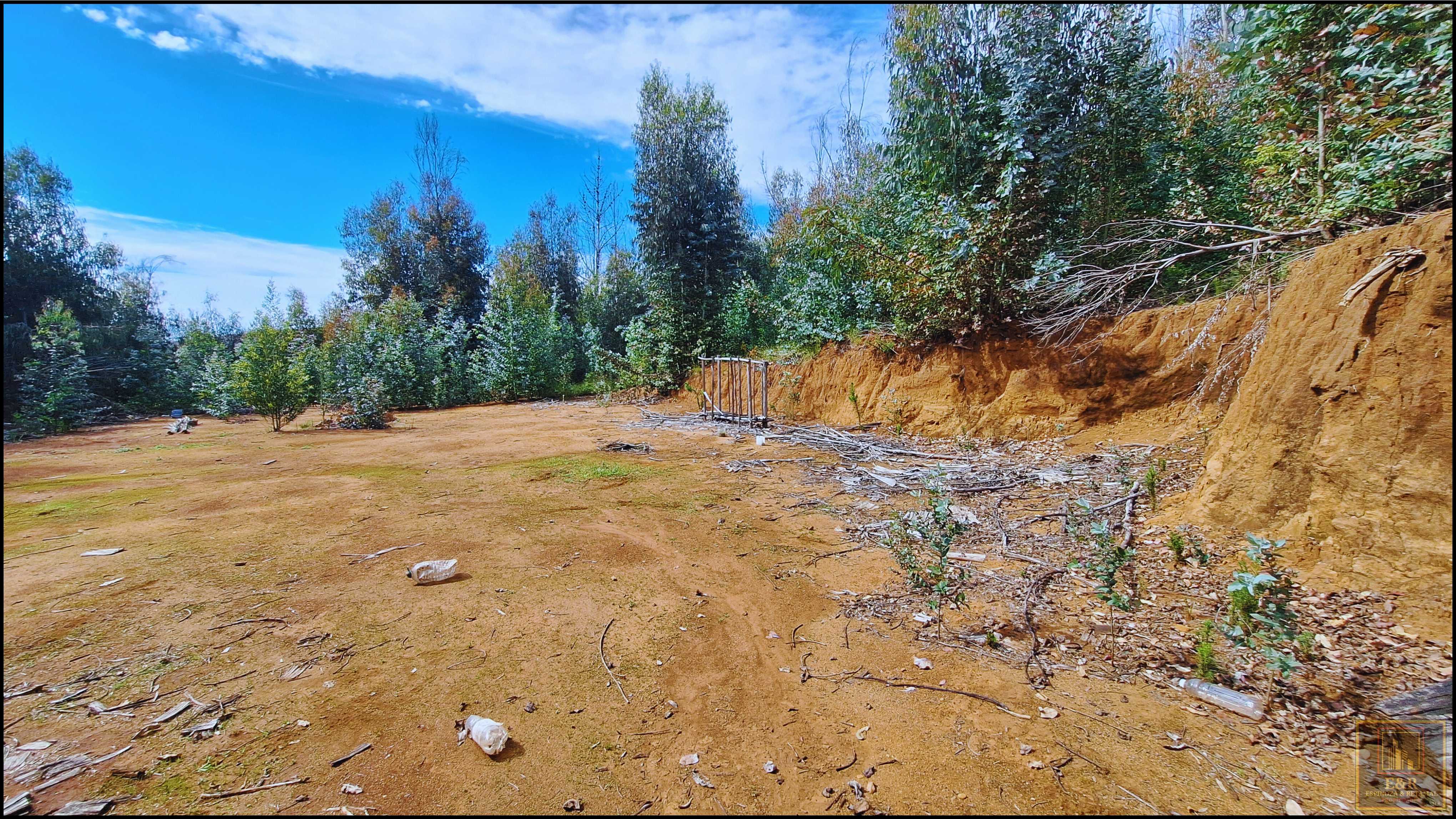 Venta Terreno Santa Juana - Biobío