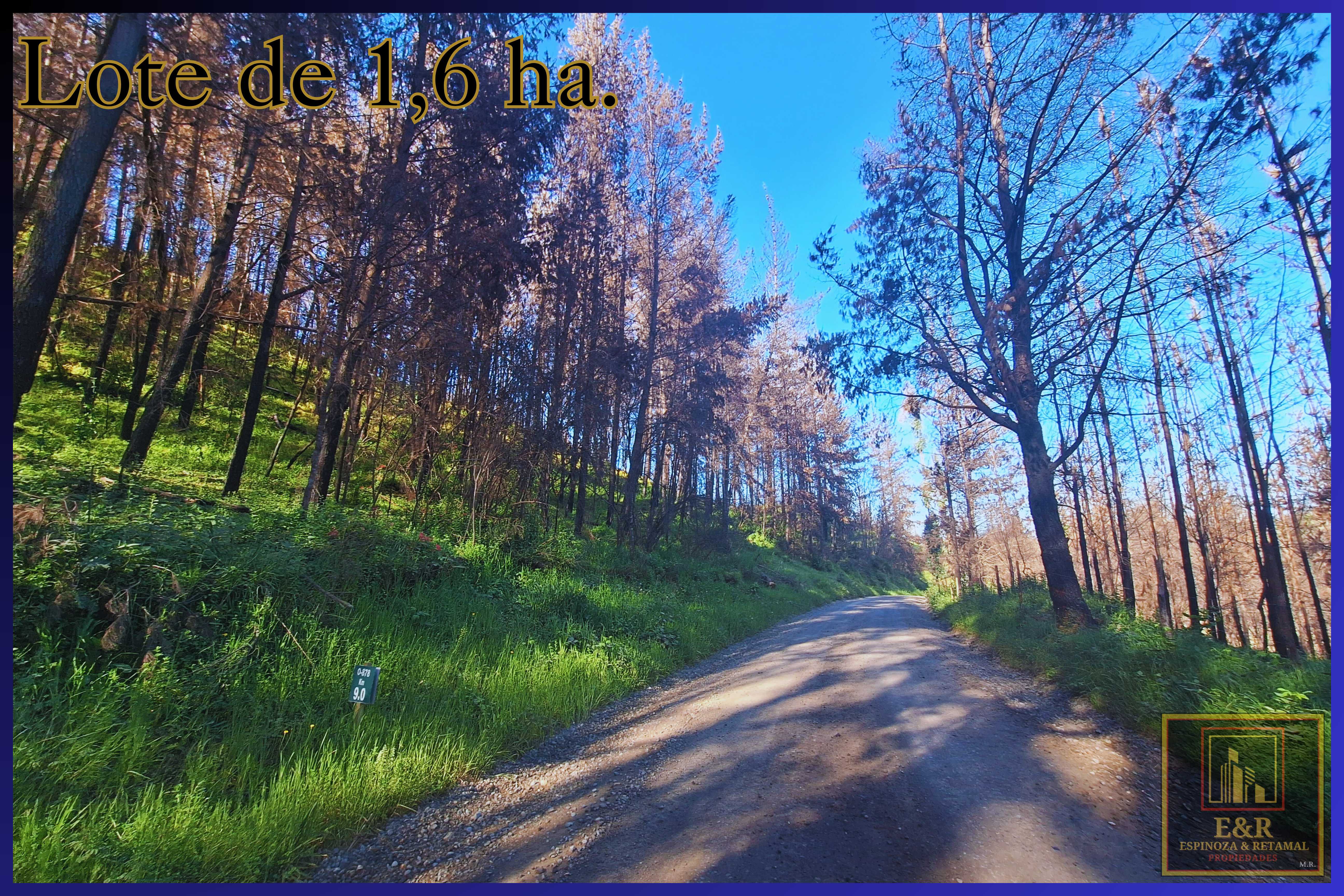 Venta Terreno Santa Juana - Biobío