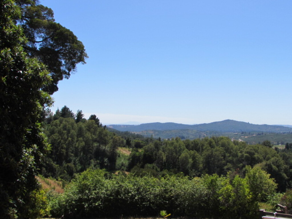 Venta Parcela Cauquenes - Maule