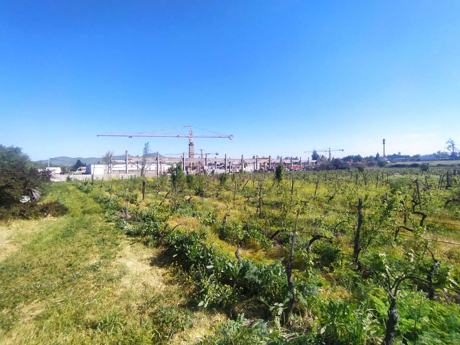 Venta Terreno San Bernardo - Región Metropolitana