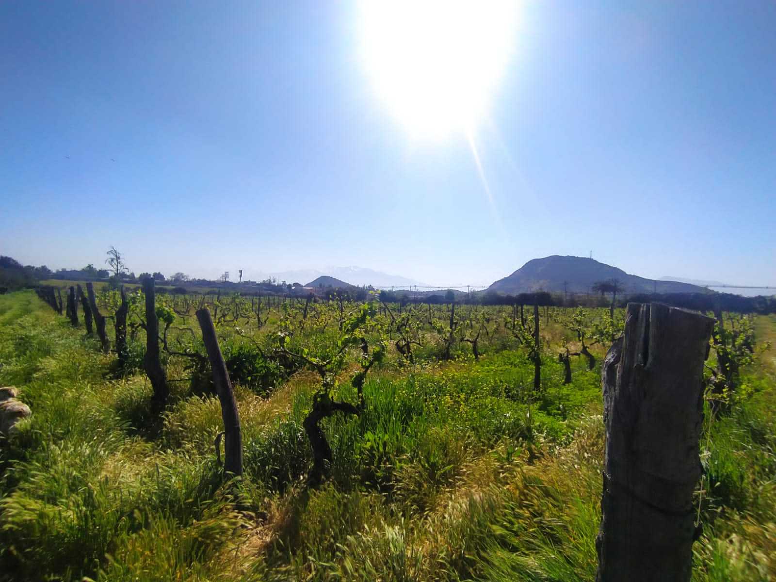 Venta Terreno San Bernardo - Región Metropolitana