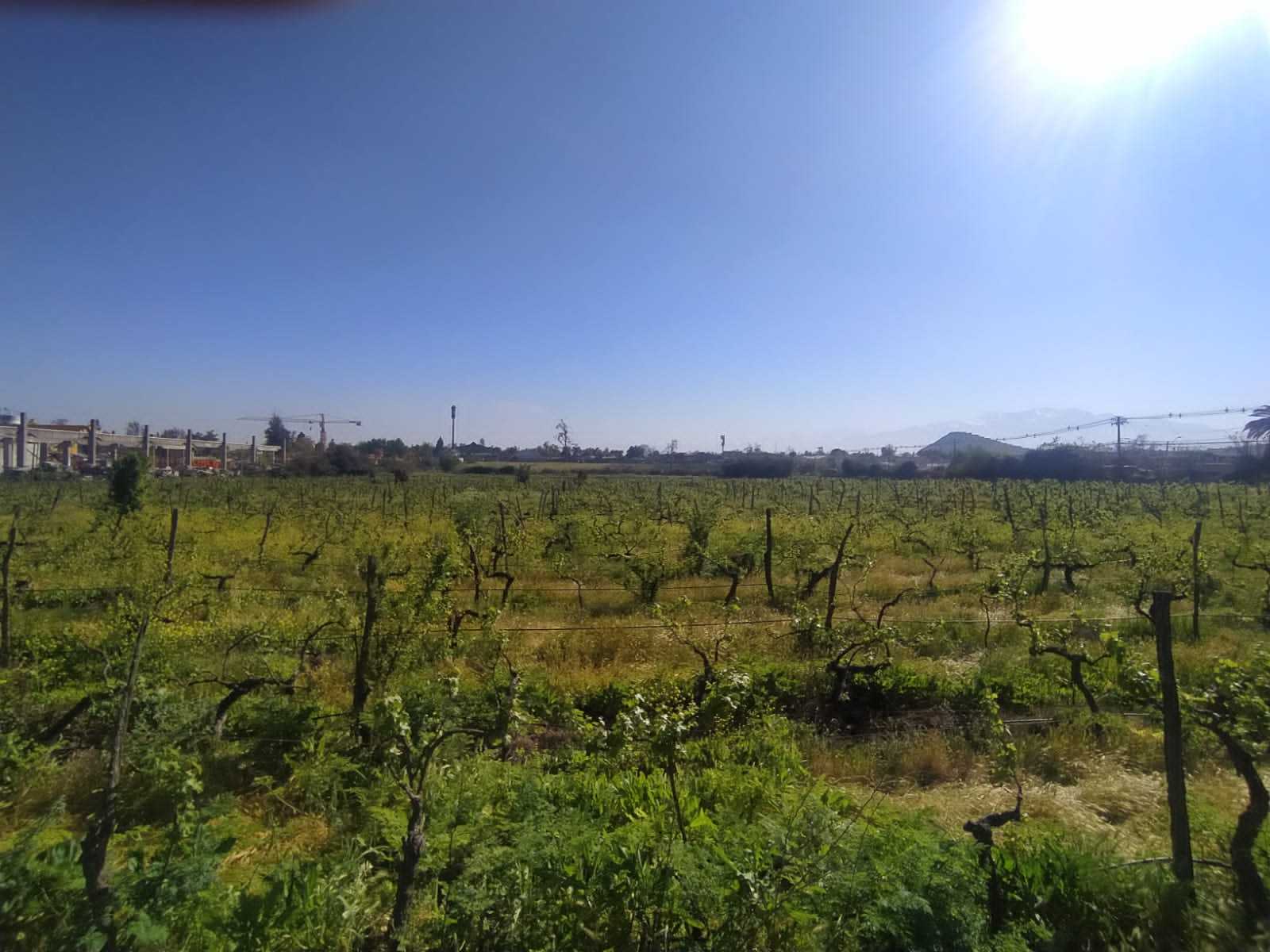 Venta Terreno San Bernardo - Región Metropolitana