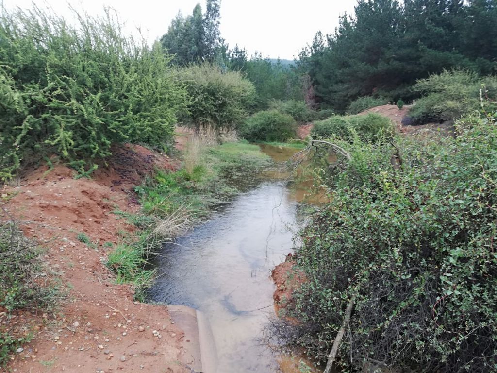 Venta Terreno Pencahue - Maule