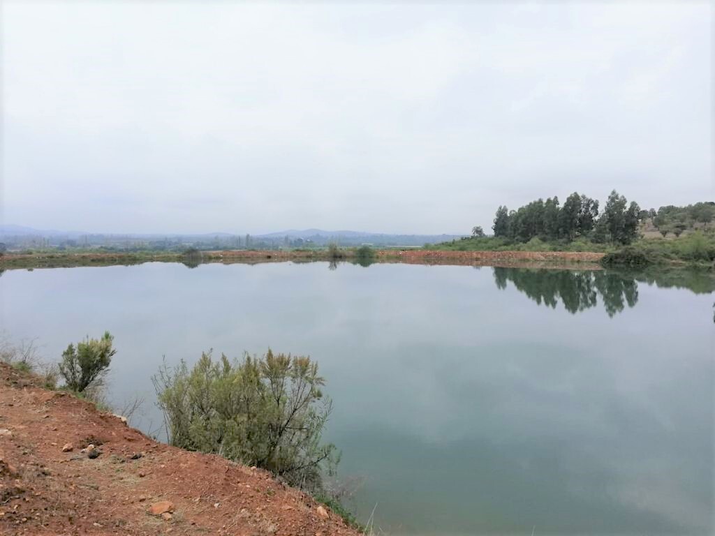 Venta Terreno Pencahue - Maule