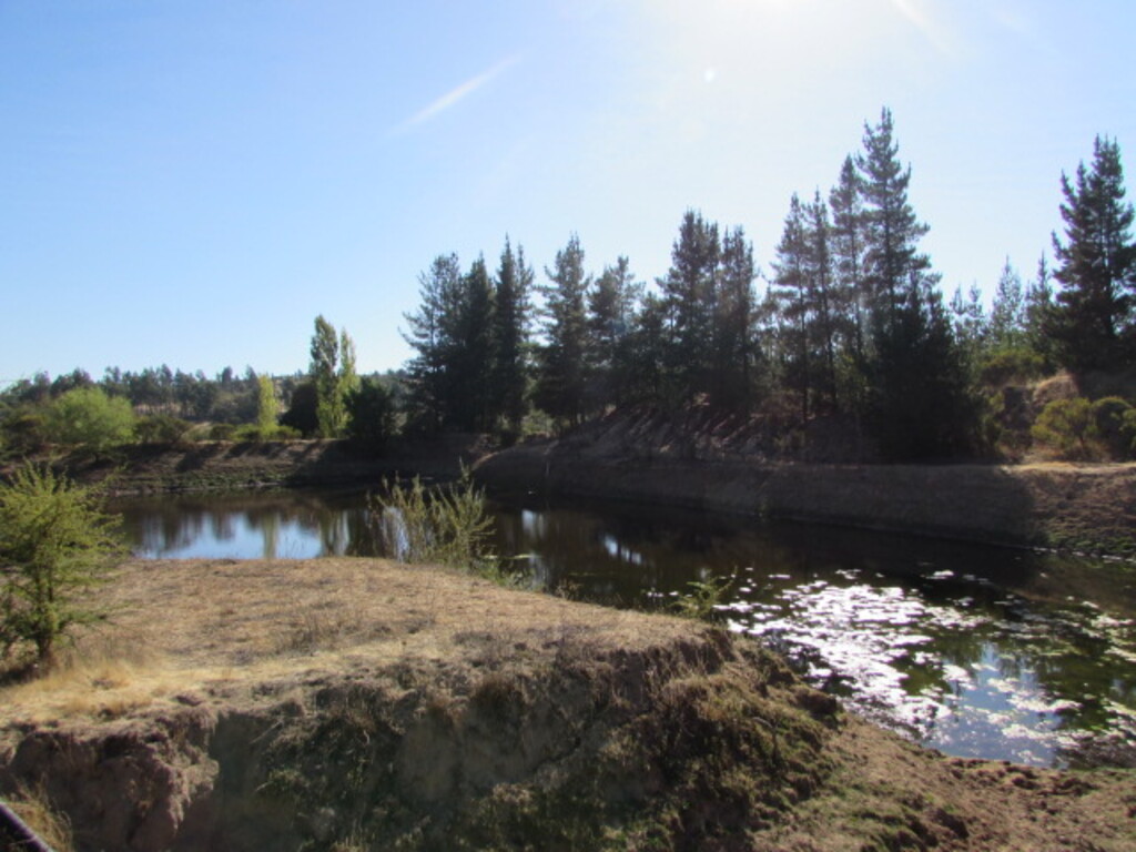 Venta Terreno Cauquenes - Maule