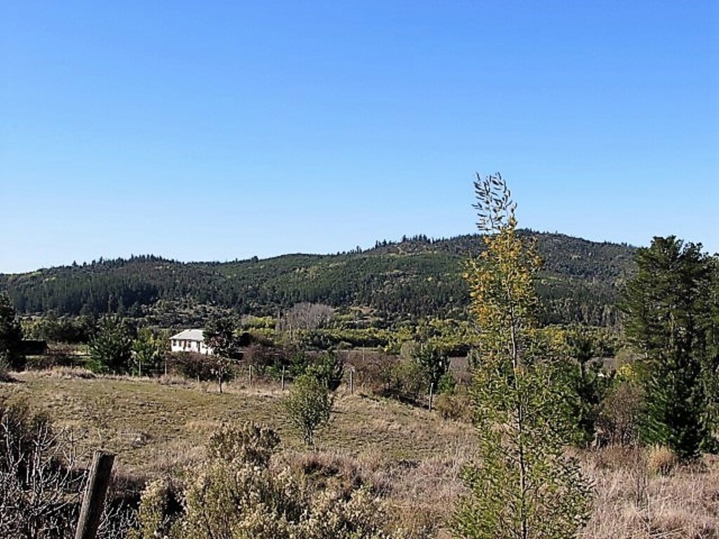 Venta Parcela Cauquenes - Maule