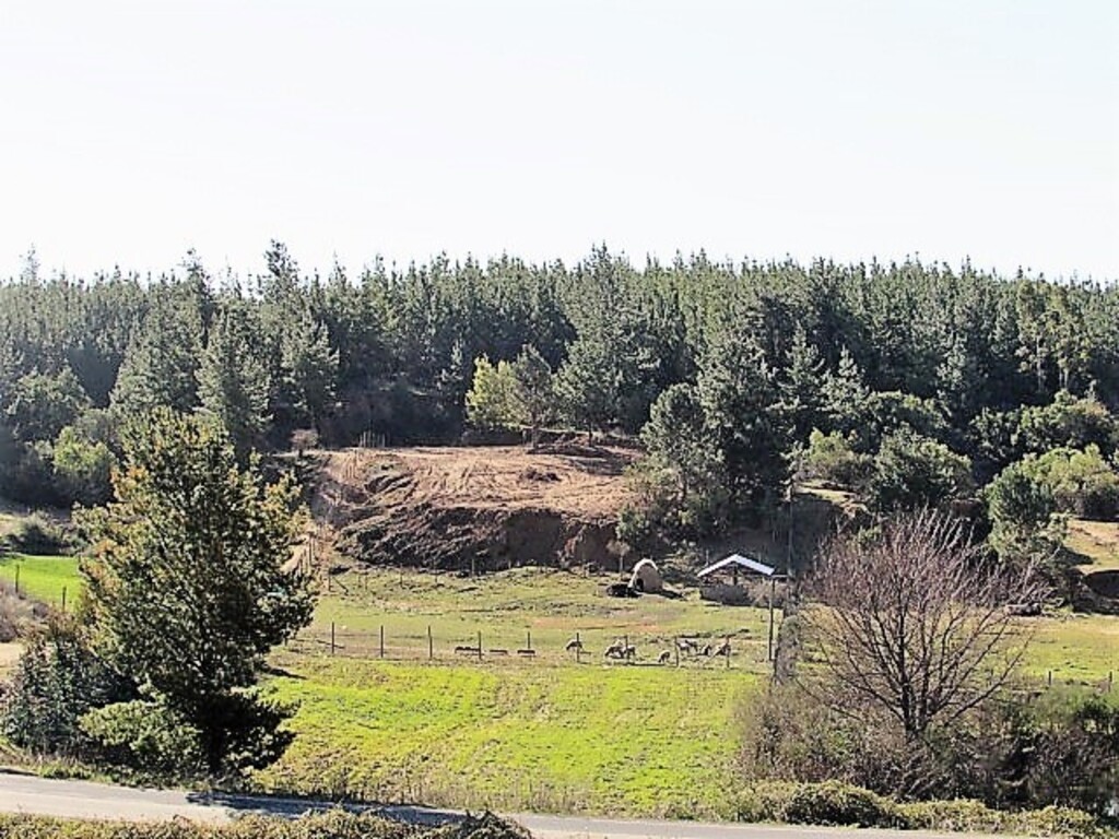 Venta Parcela Cauquenes - Maule