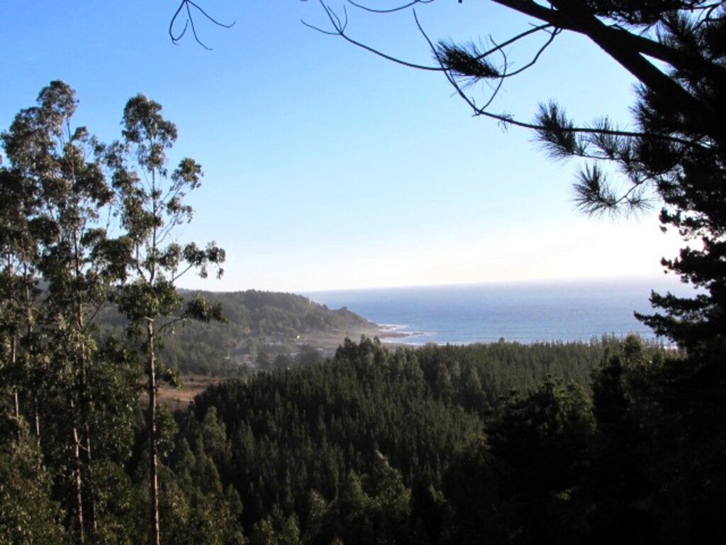 Venta Terreno Pelluhue - Maule