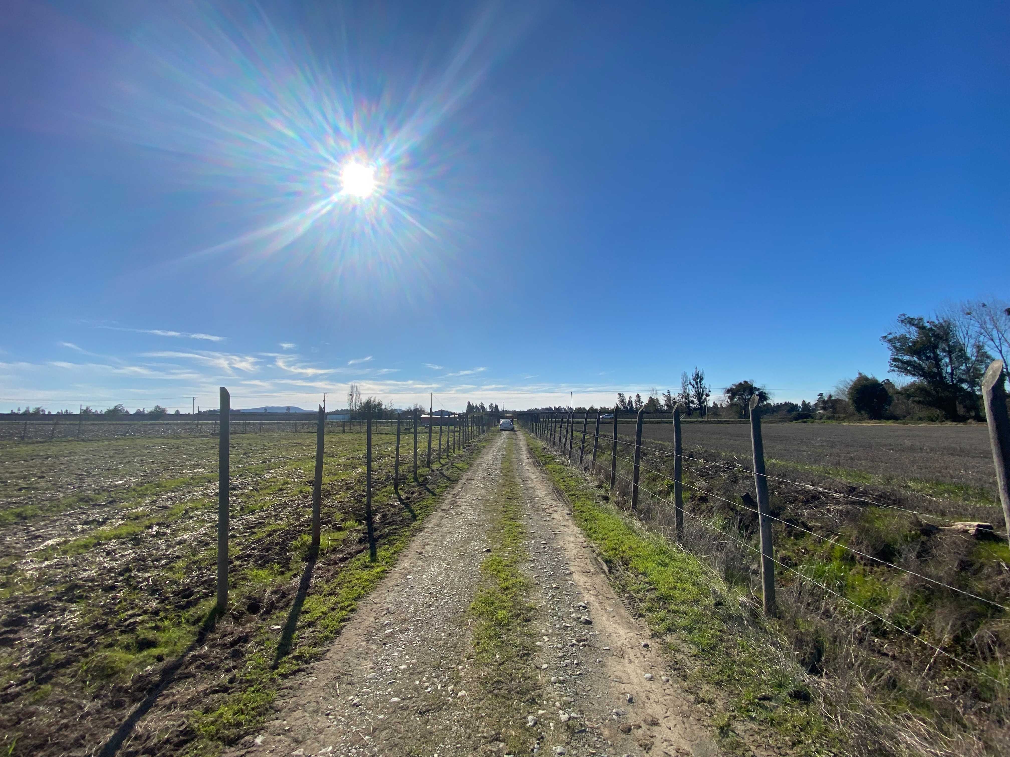 Venta Terreno Linares - Maule