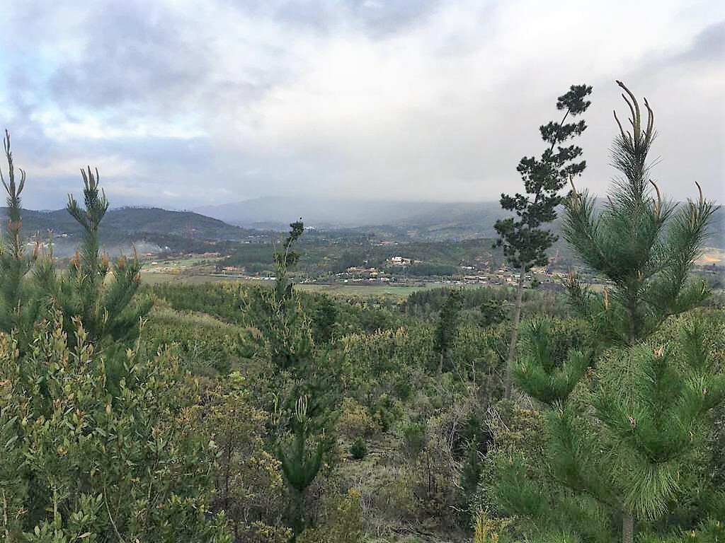 Venta Terreno Cauquenes - Maule