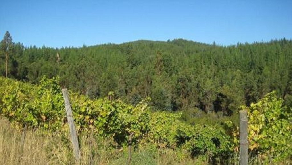 Venta Terreno Cauquenes - Maule