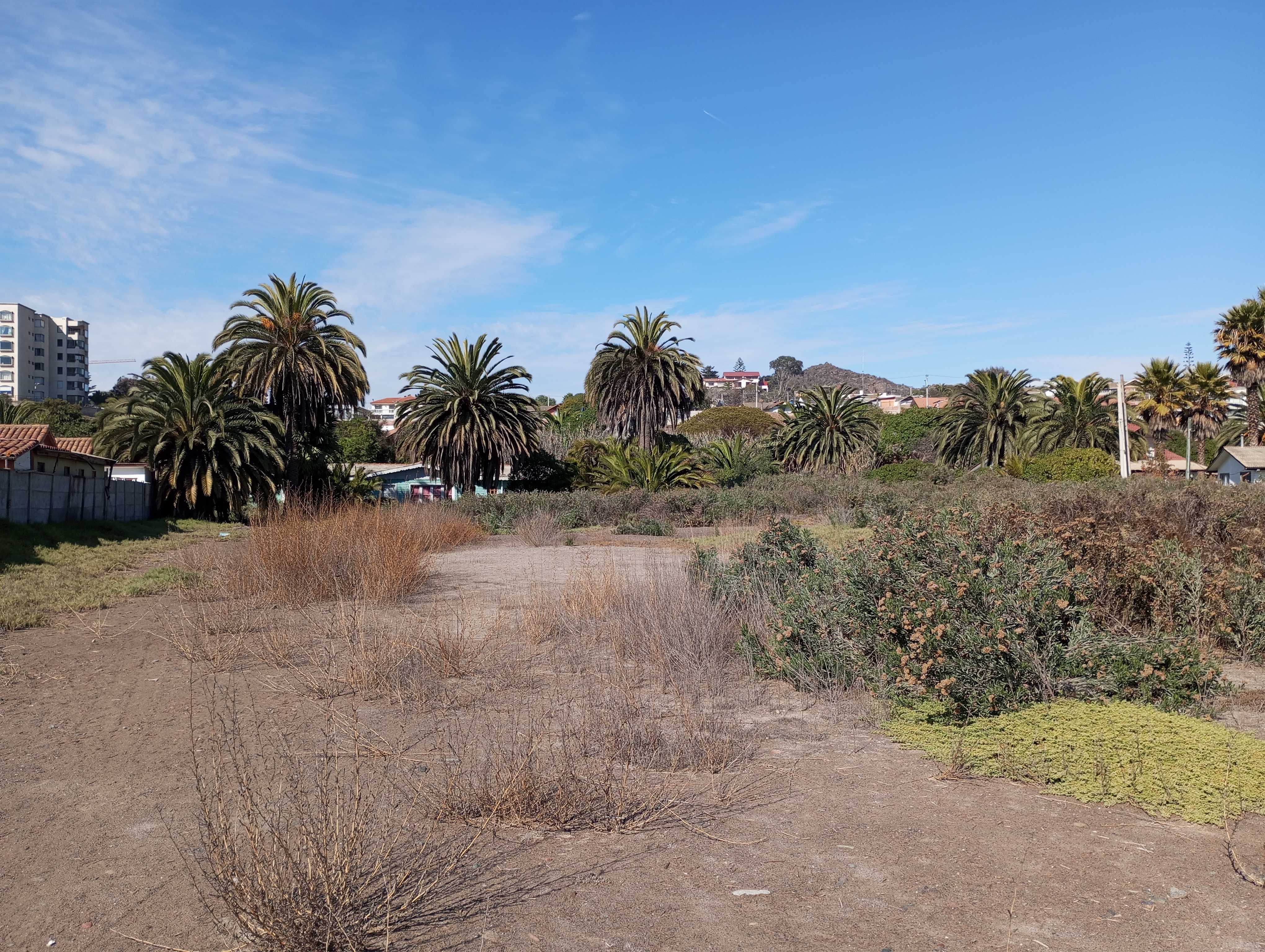 Venta Terreno Coquimbo - Coquimbo