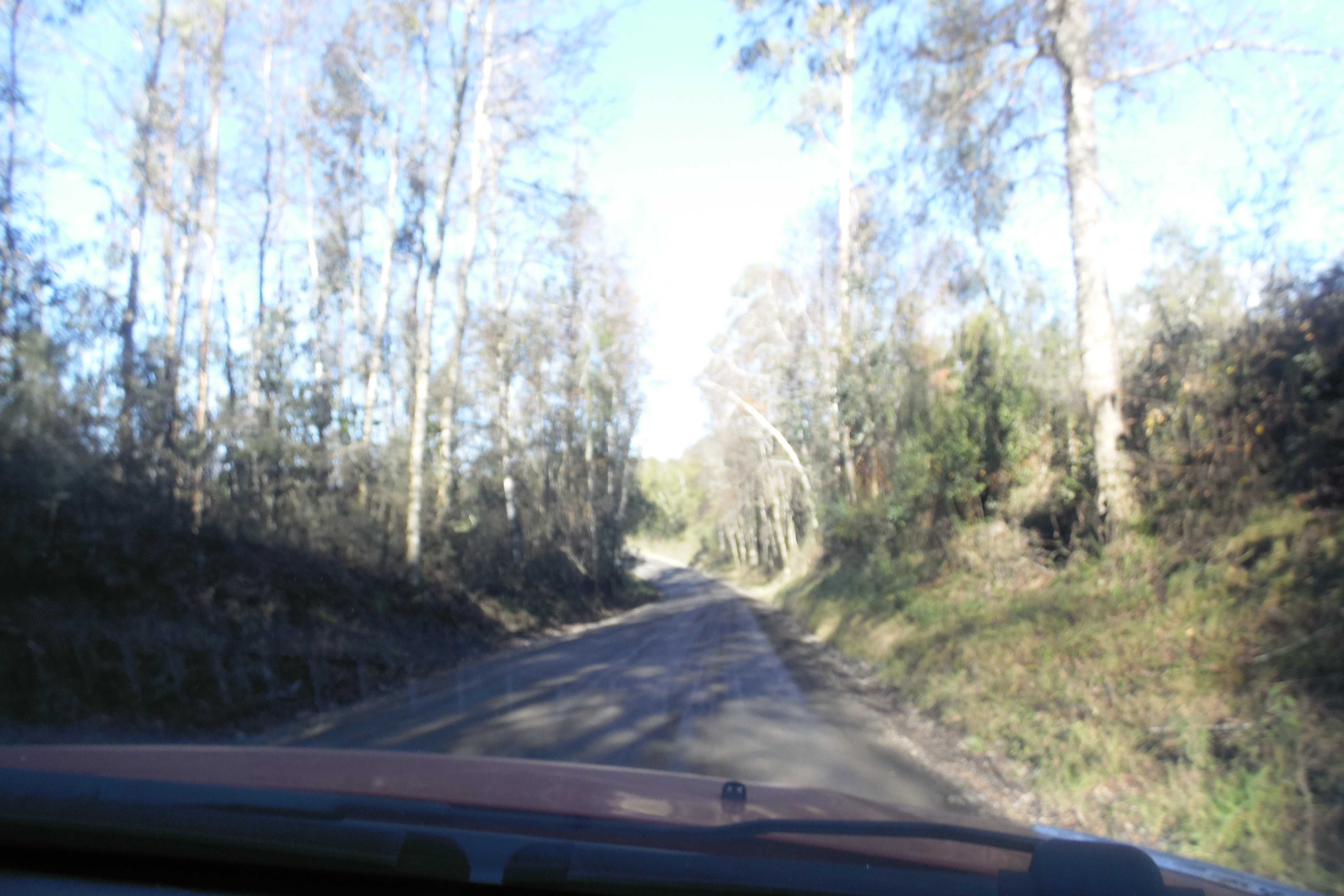 Venta Terreno Loncoche - La Araucanía