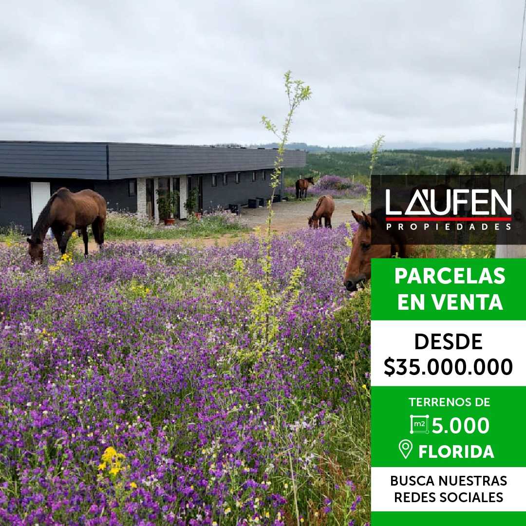 Venta Terreno Florida - Biobío