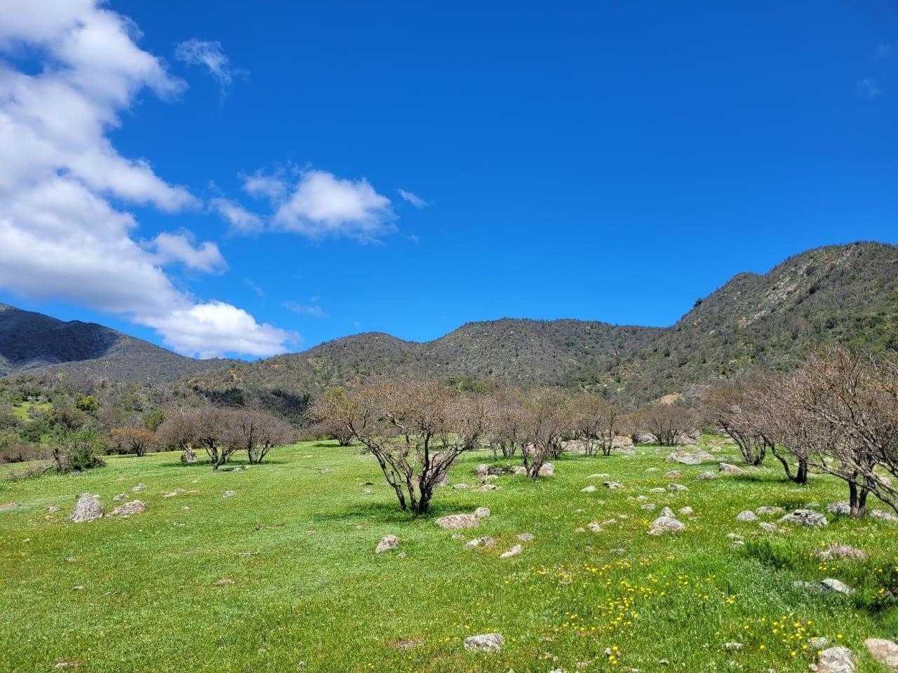 Venta Terreno Melipilla - Región Metropolitana