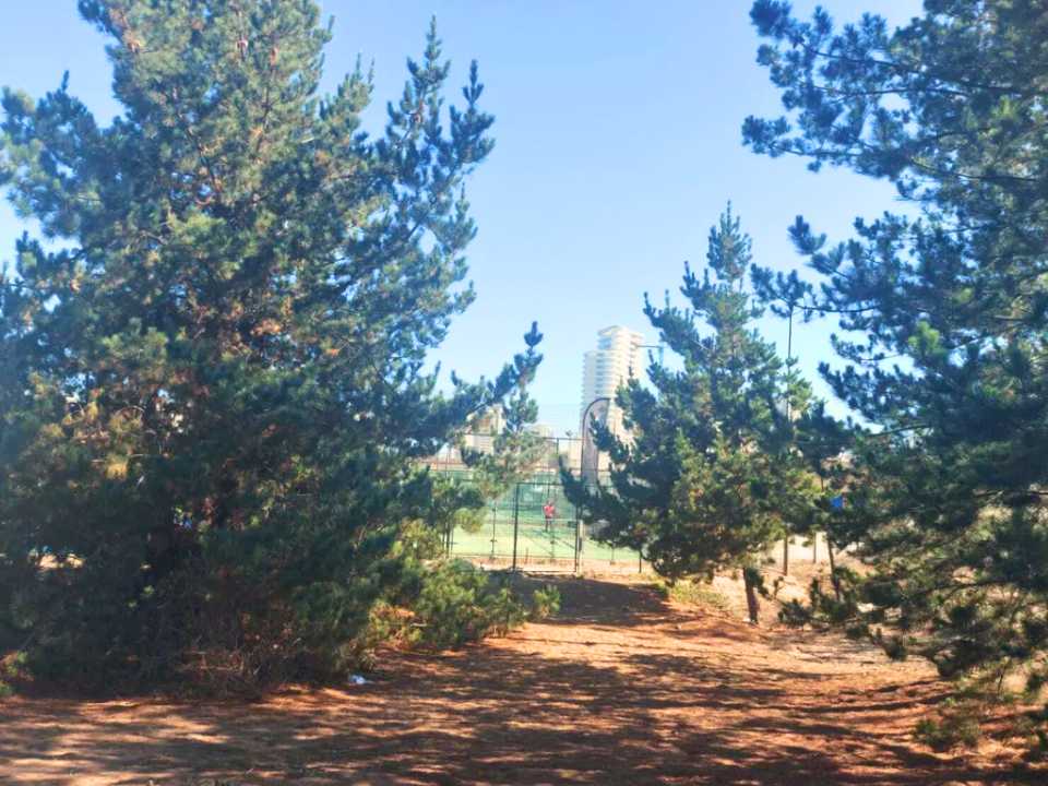 Venta Terreno Viña del Mar - Valparaíso