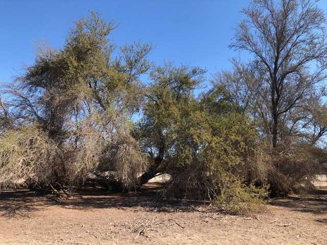 Venta Terreno Pozo Almonte - Tarapacá