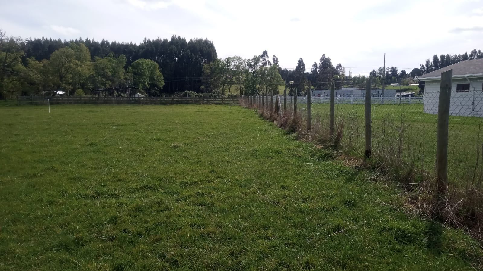 Venta Parcela Lago Ranco - Los Ríos