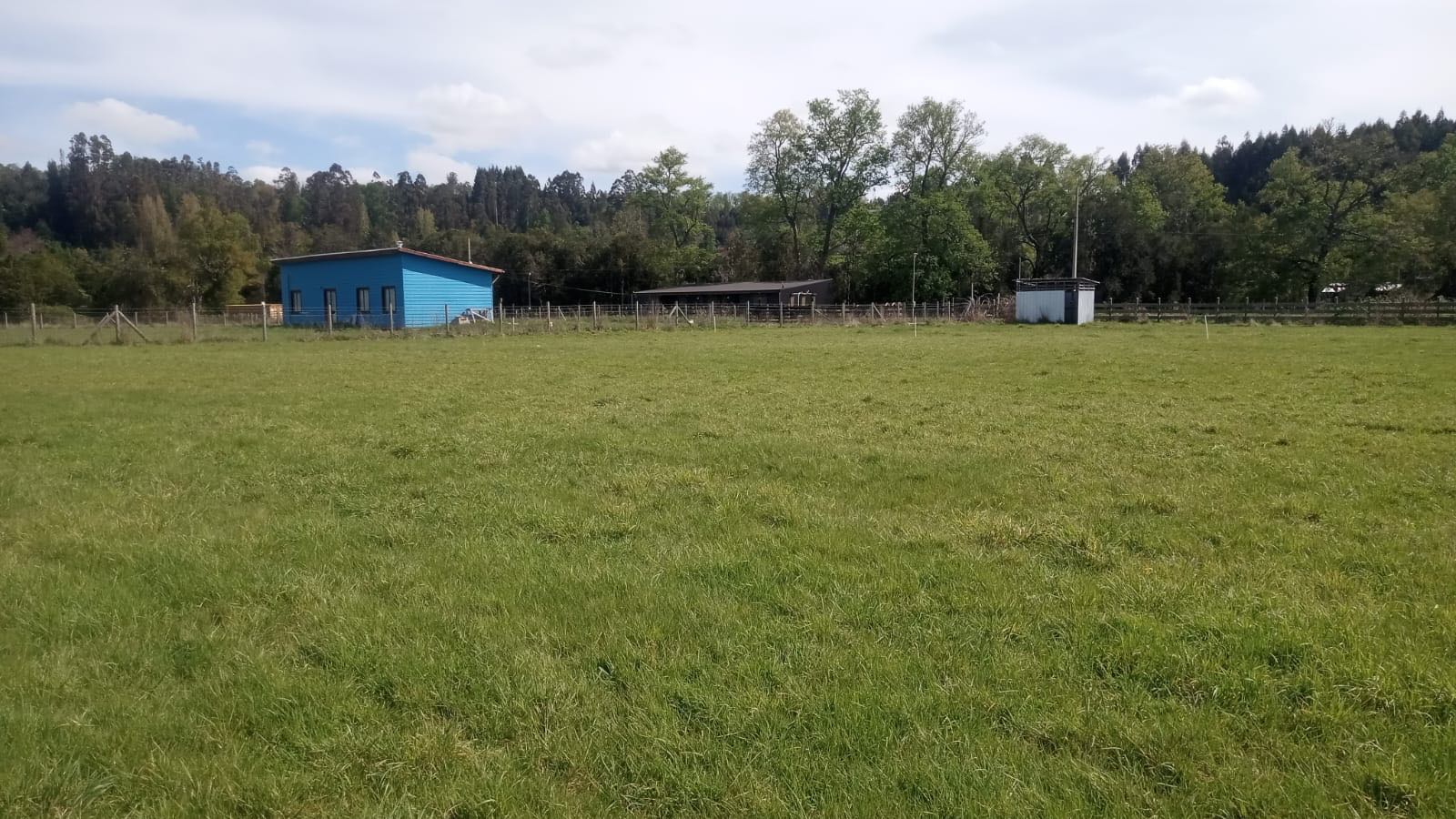 Venta Parcela Lago Ranco - Los Ríos