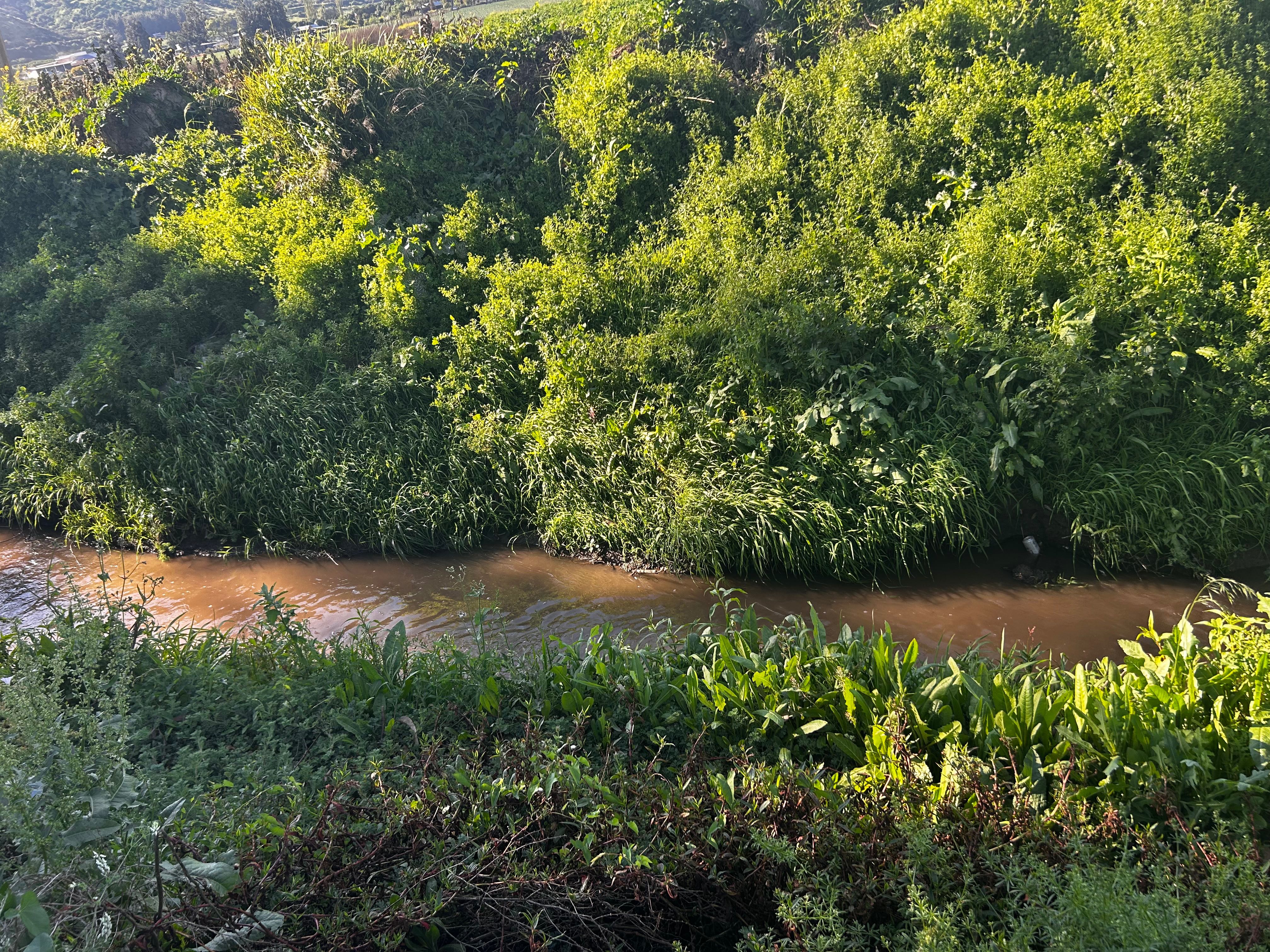 Venta Parcela Padre Hurtado - Región Metropolitana