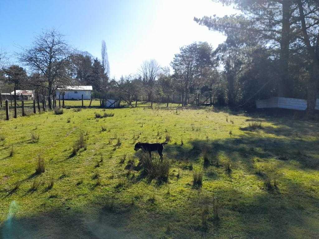 Venta Parcela Panguipulli - Los Ríos