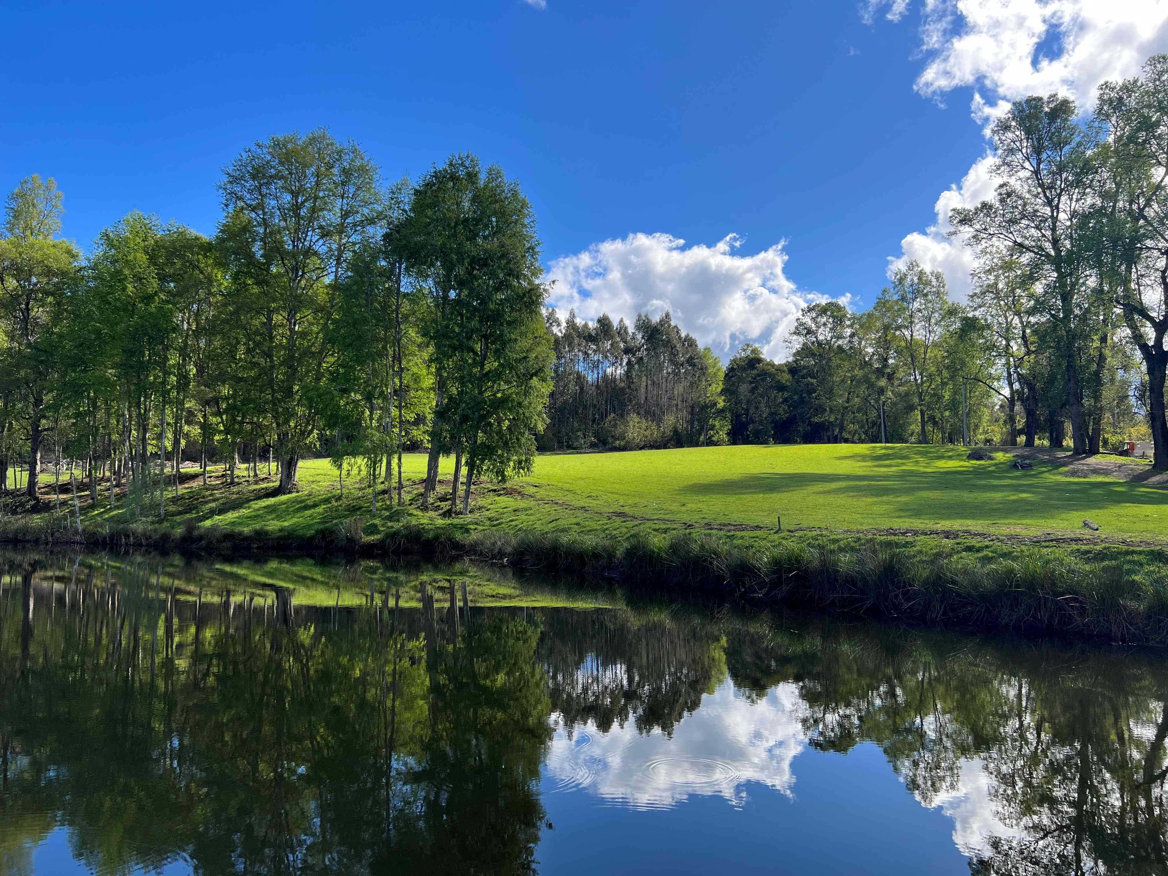 Venta Parcela Villarrica - La Araucanía