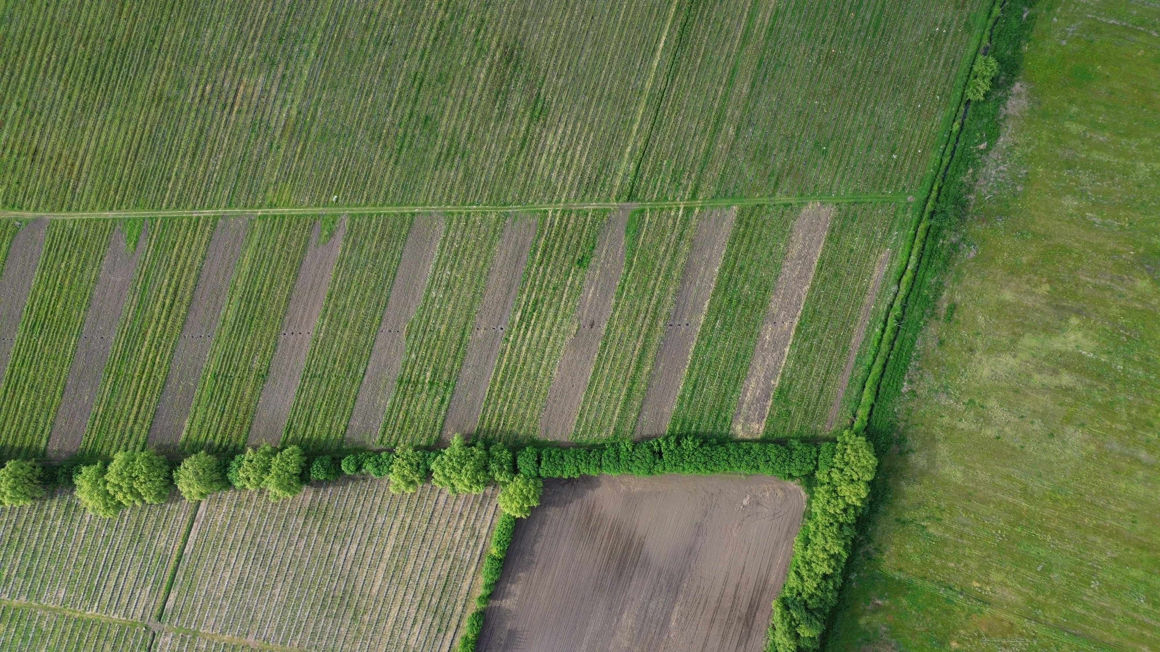 Venta Terreno Bulnes - Ñuble