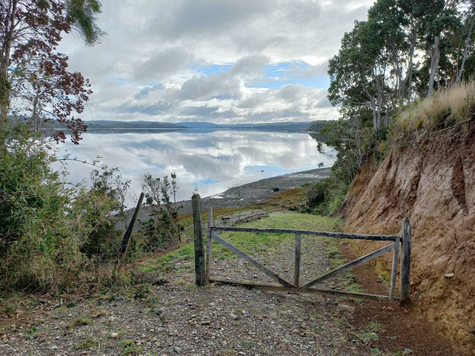 Venta Parcela Los Muermos - Los Lagos