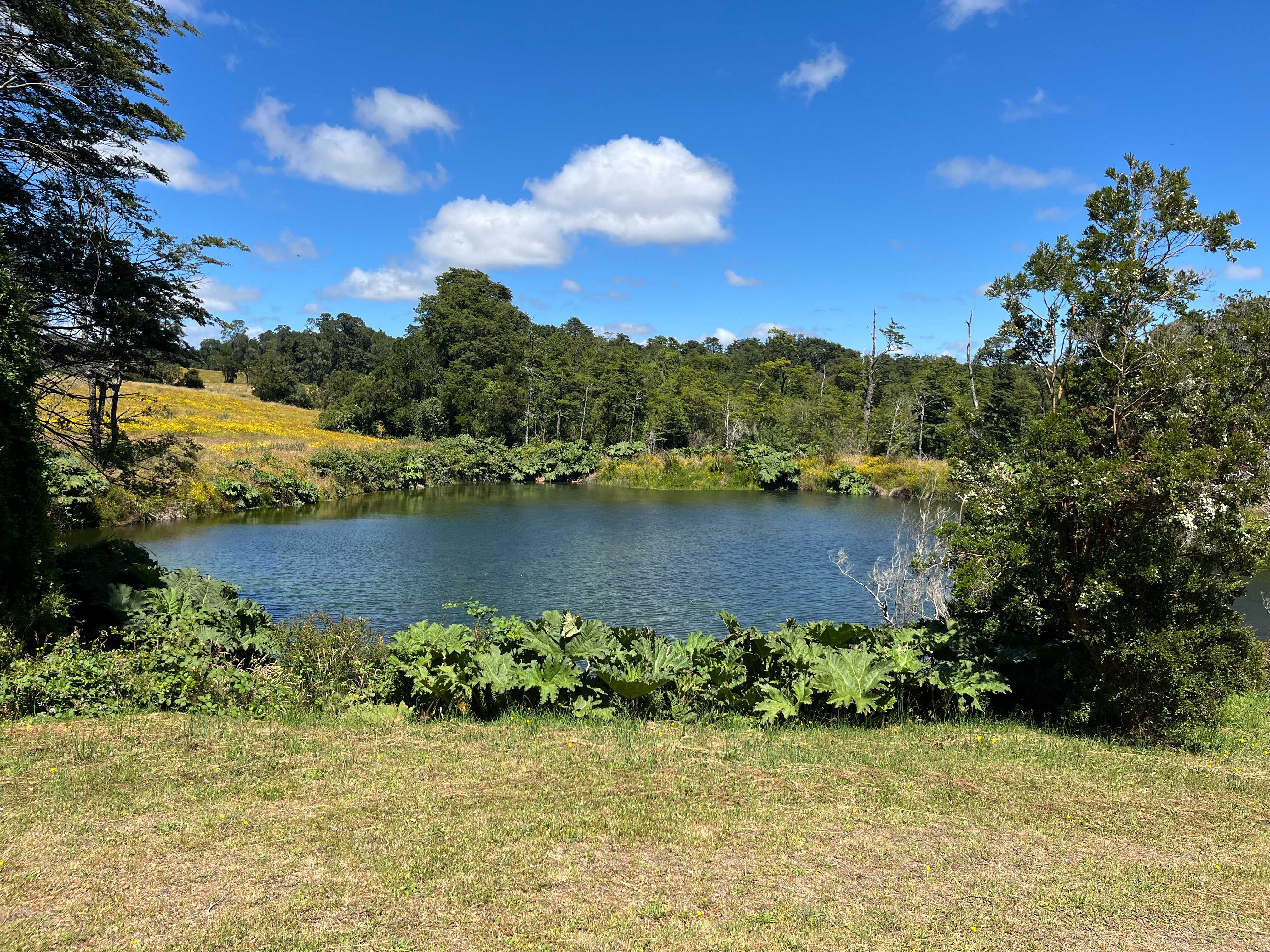 Venta Parcela Puerto Varas - Los Lagos