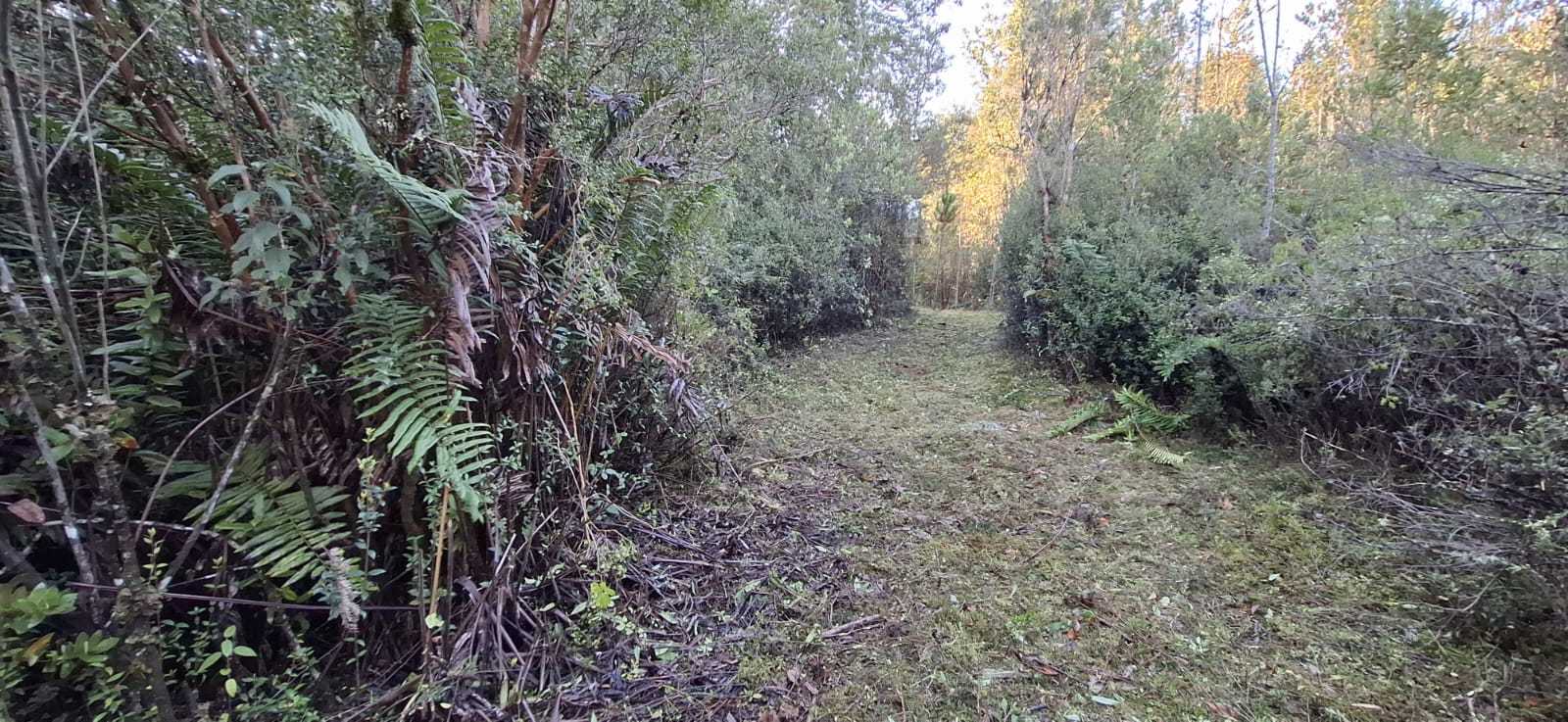 Venta Parcela Puerto Varas - Los Lagos