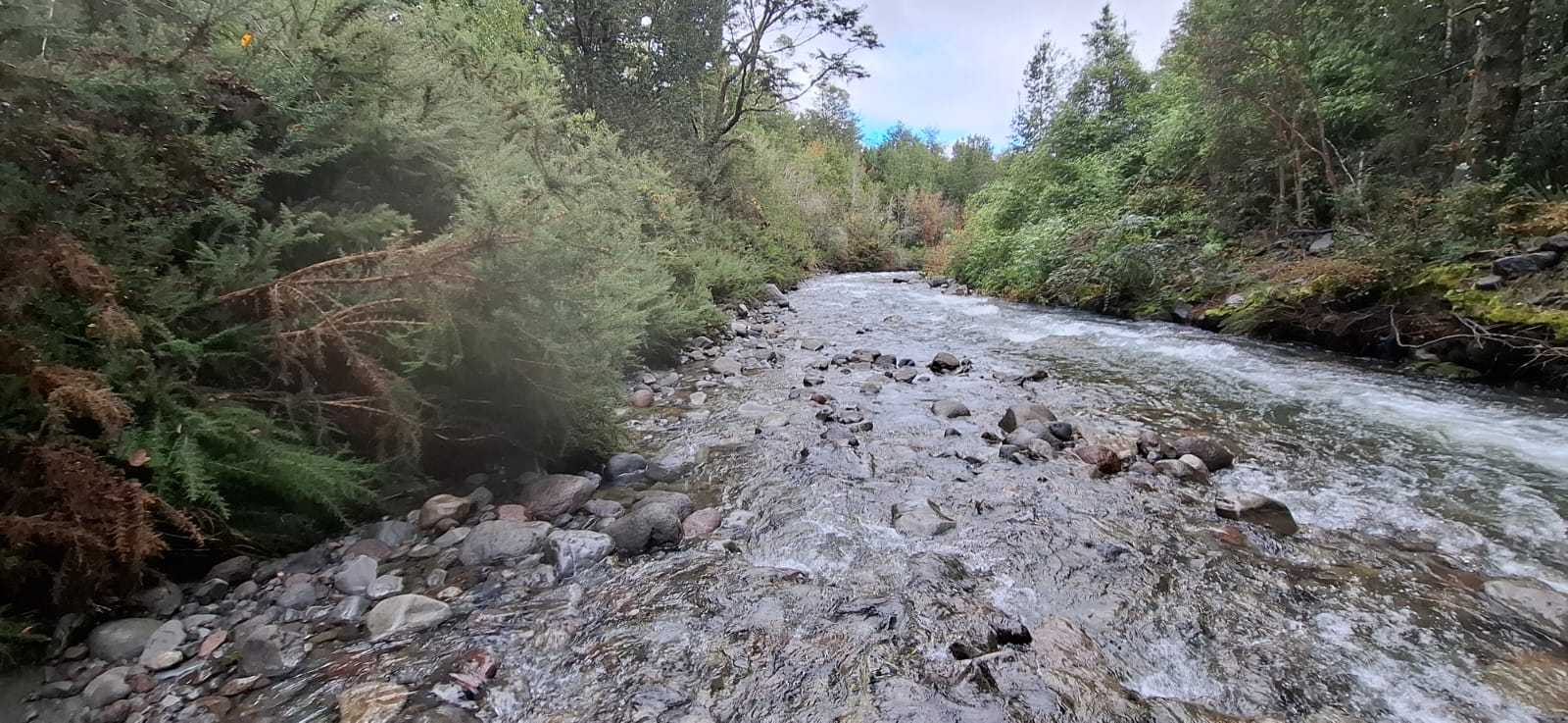Venta Parcela Puerto Varas - Los Lagos