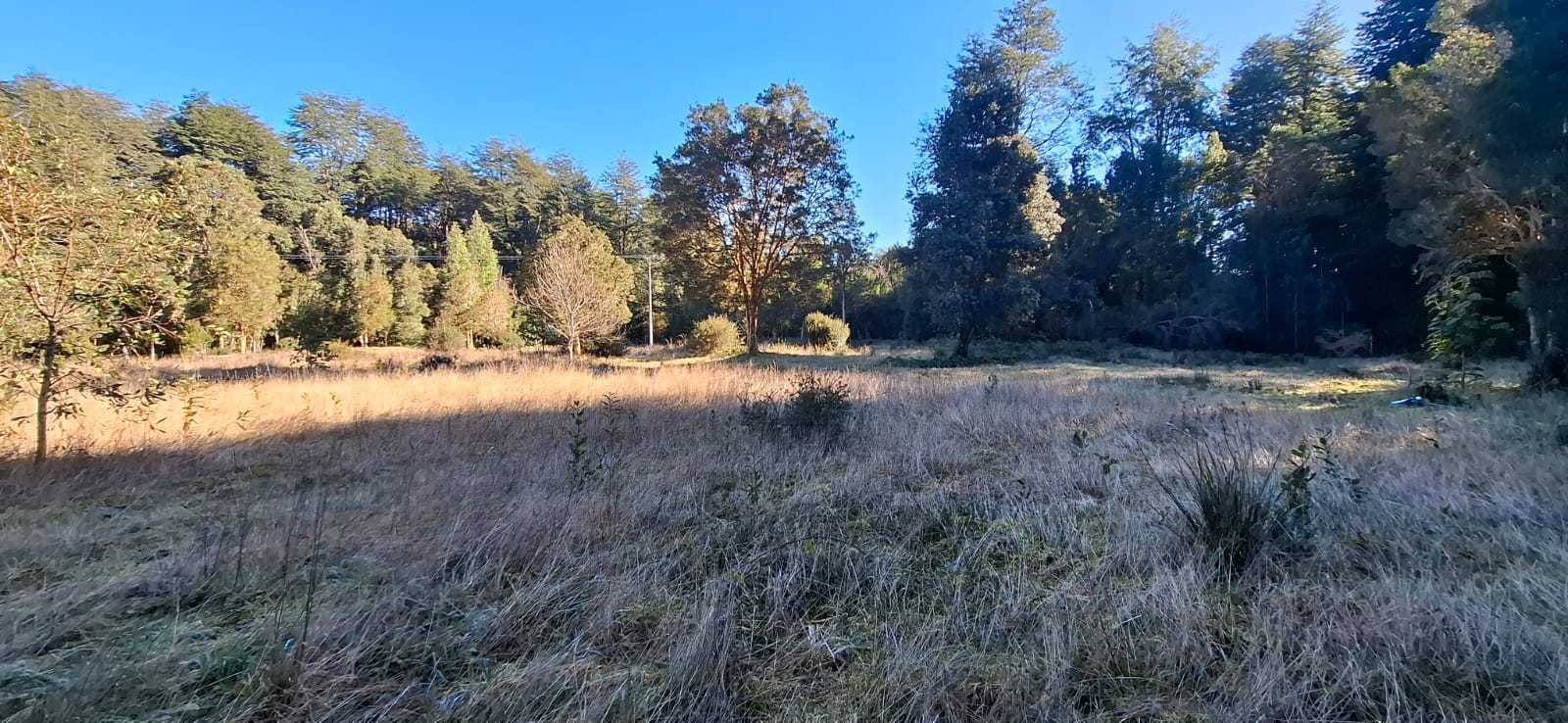 Venta Parcela Puerto Varas - Los Lagos