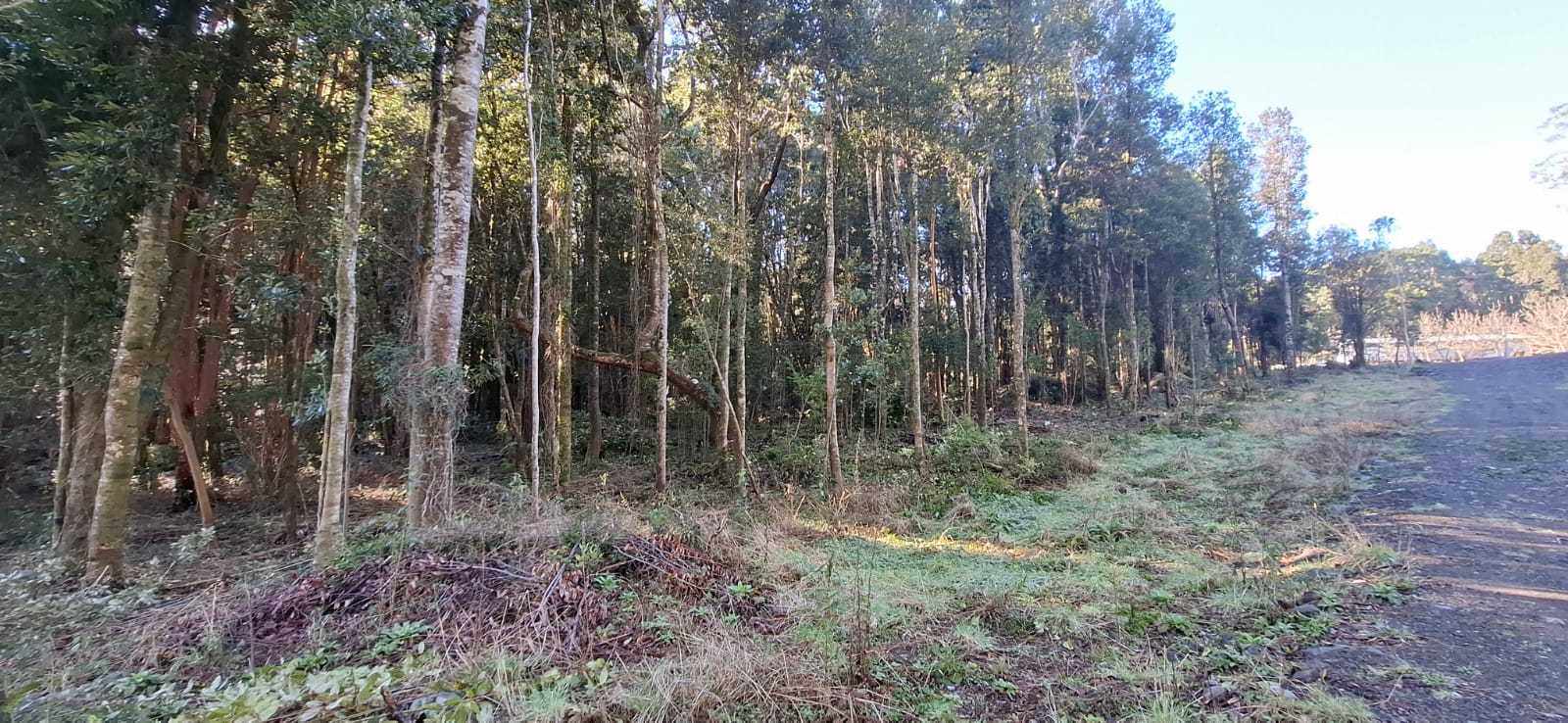 Venta Parcela Puerto Varas - Los Lagos