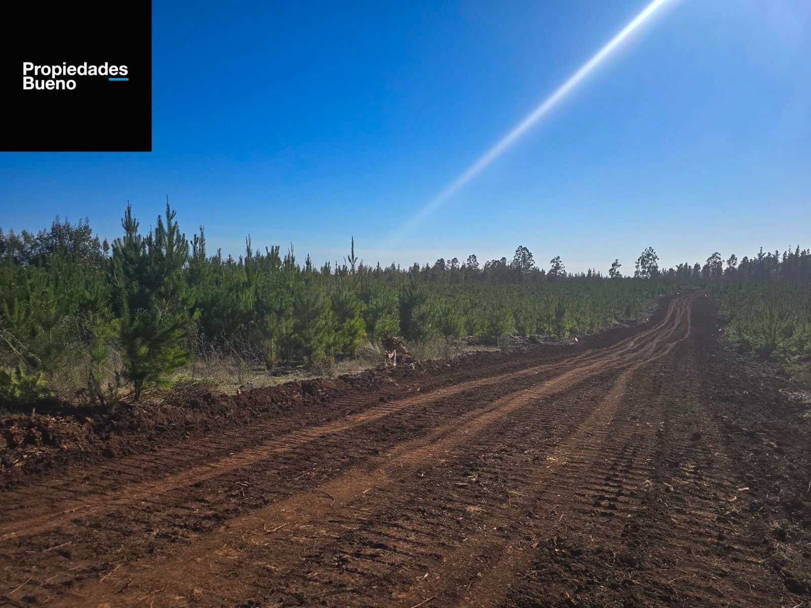 Venta Parcela Pichilemu - O'Higgins