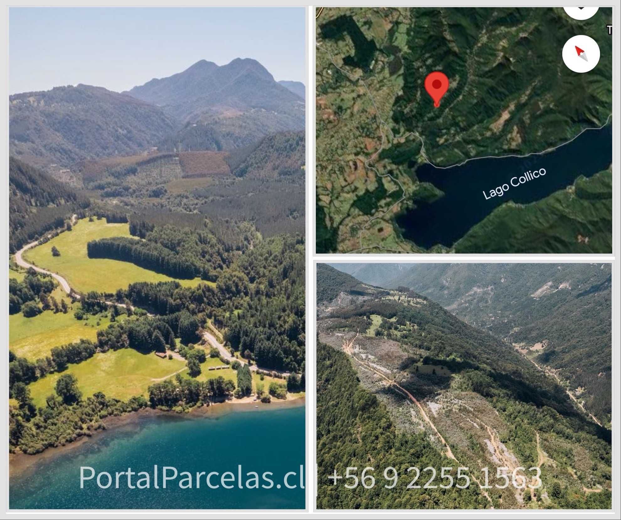 Venta Parcela Cunco - La Araucanía