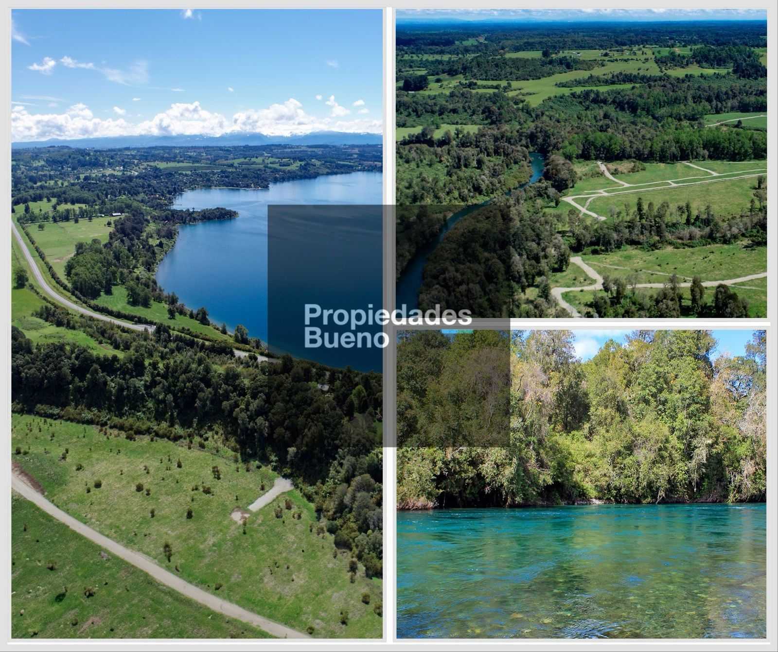 Venta Parcela Puyehue - Los Lagos