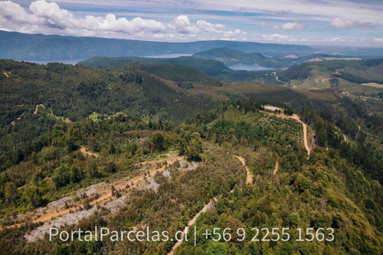 Venta Parcela Cunco - La Araucanía