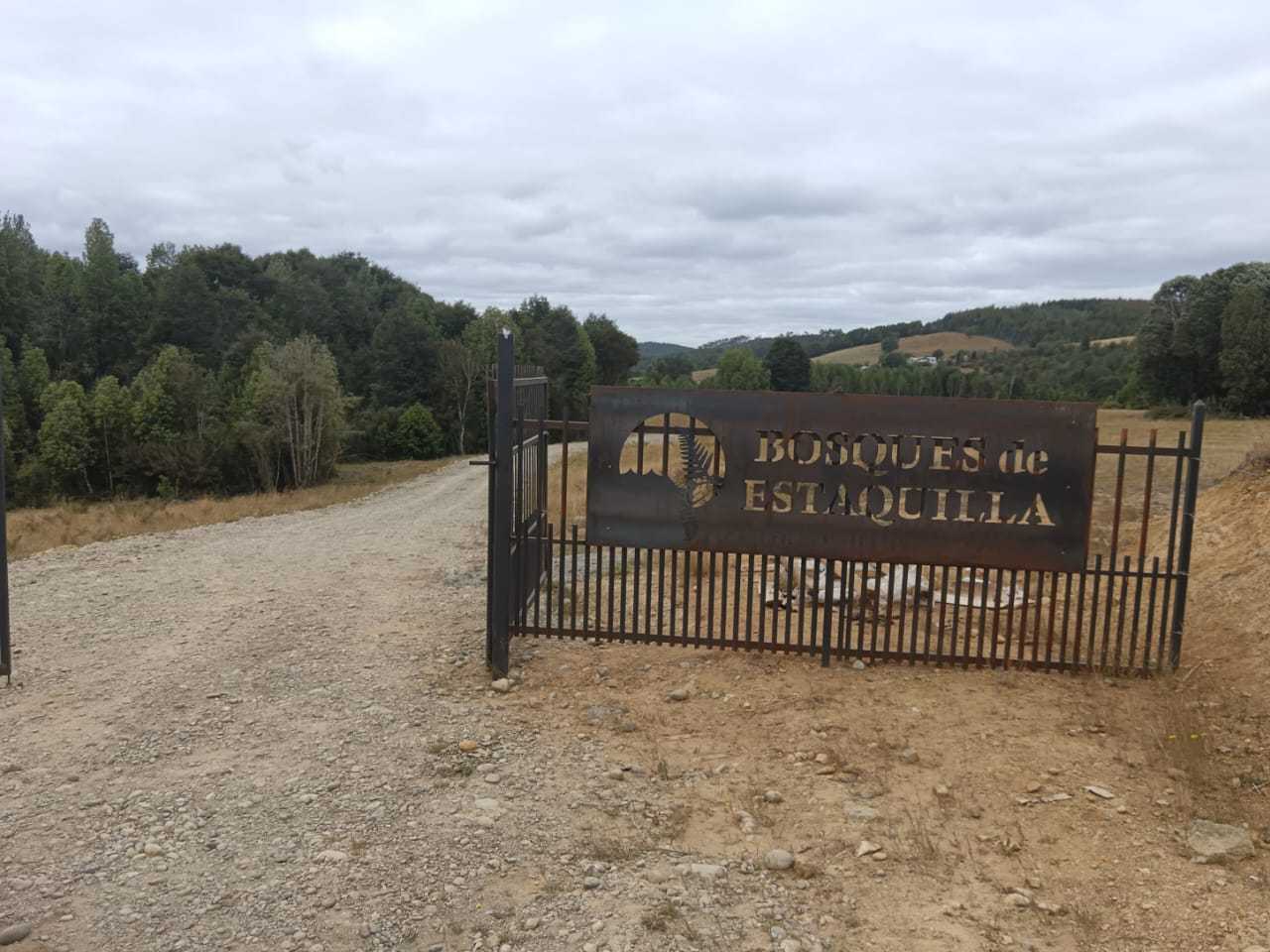 Venta Parcela Los Muermos - Los Lagos