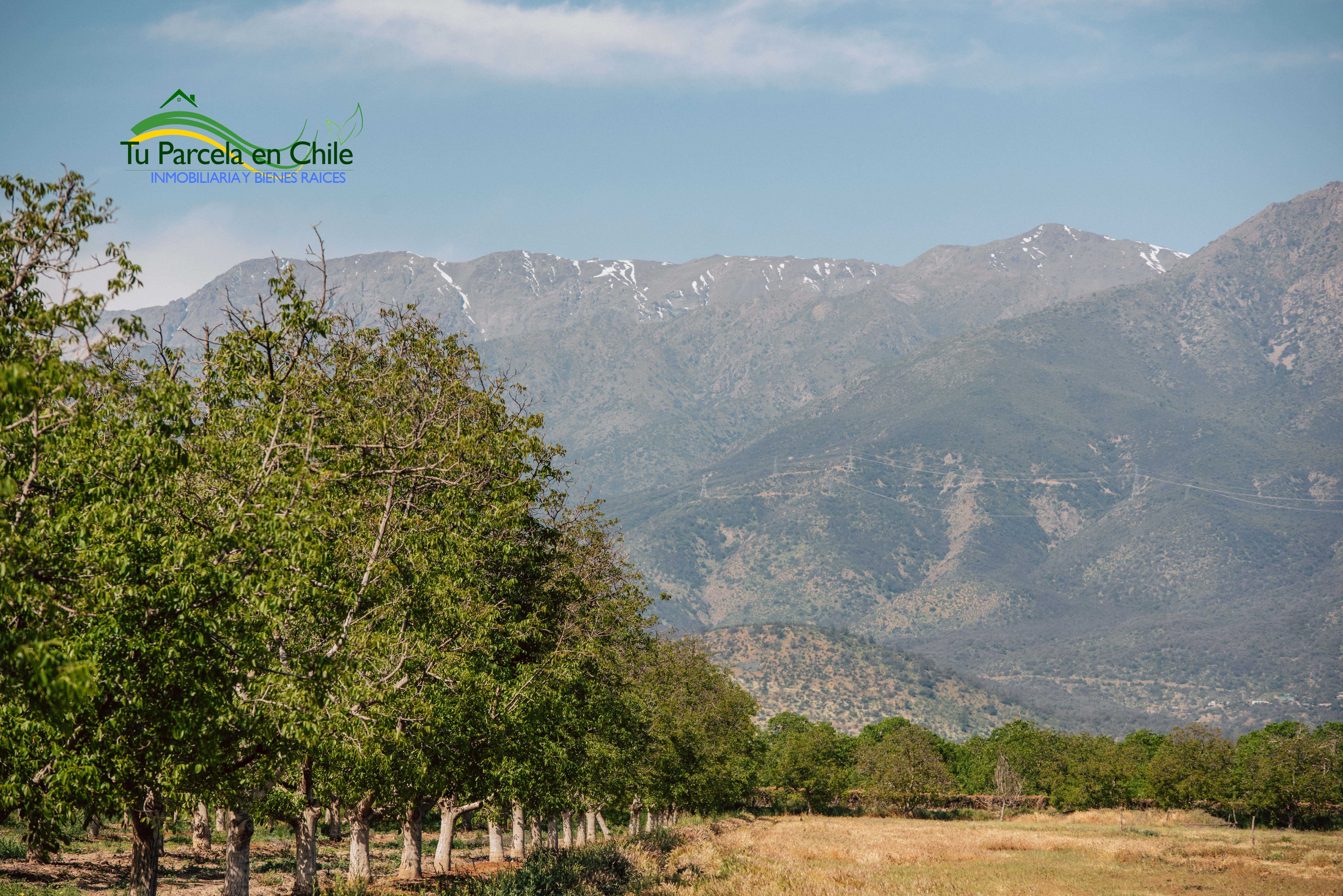 Venta Parcela Paine - Región Metropolitana