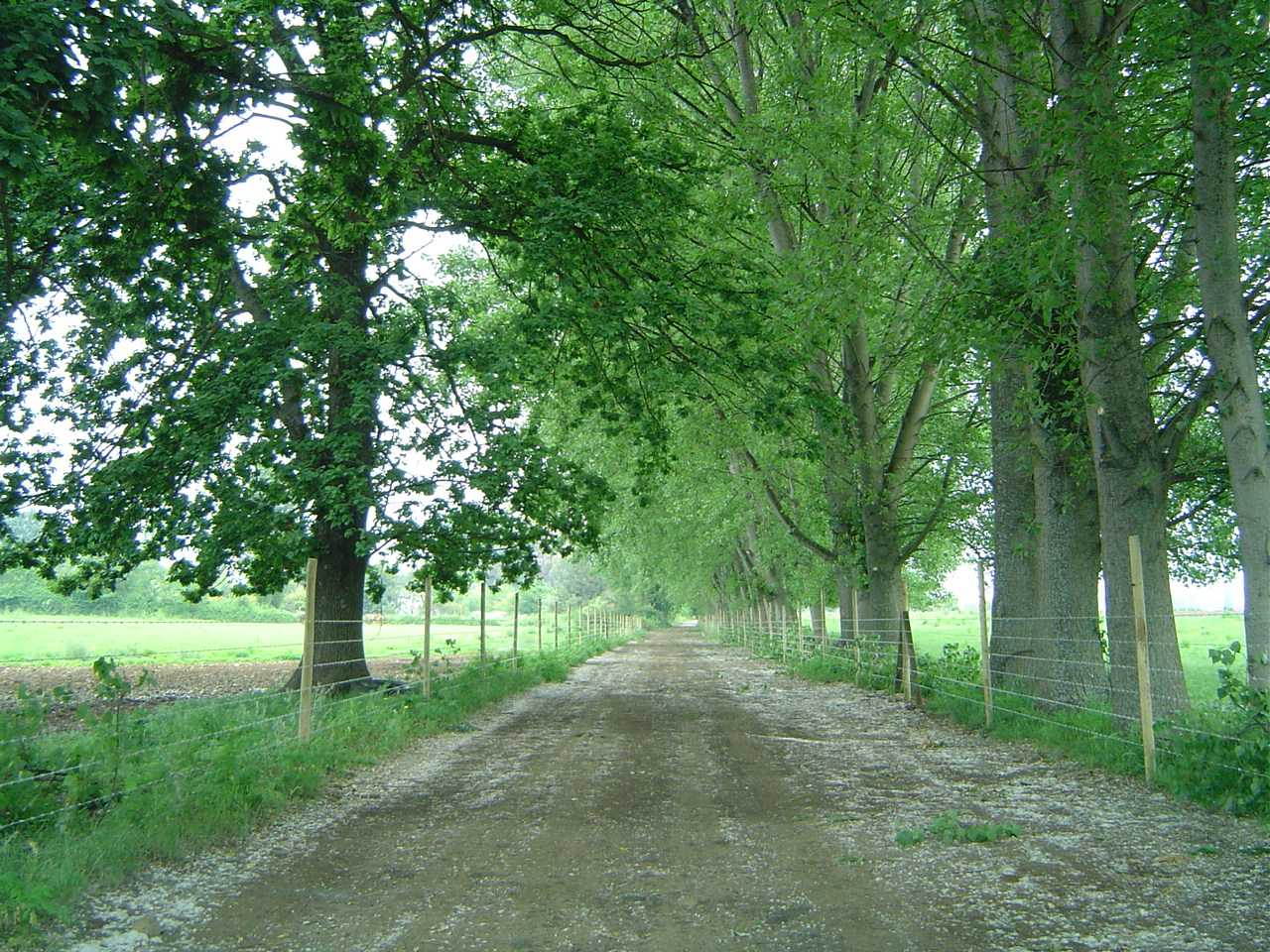 Venta Terreno Linares - Maule