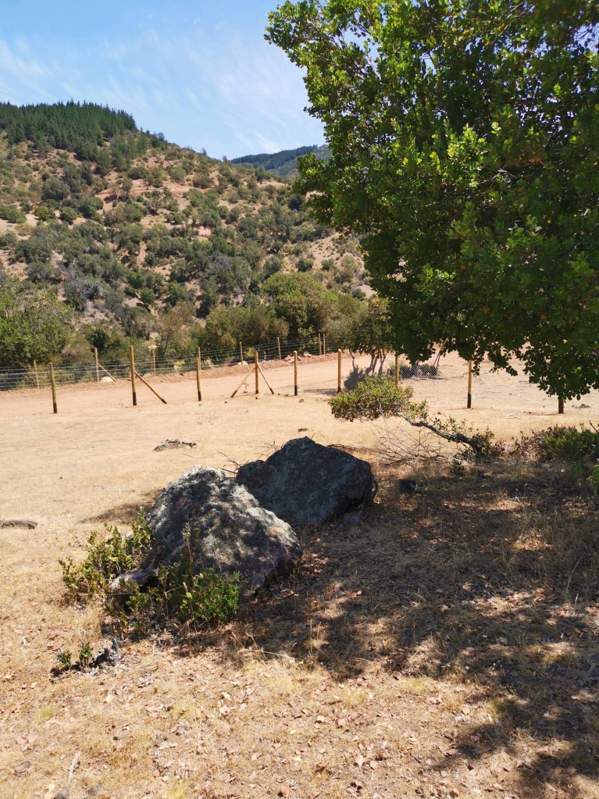 Venta Parcela Santa Cruz - O'Higgins