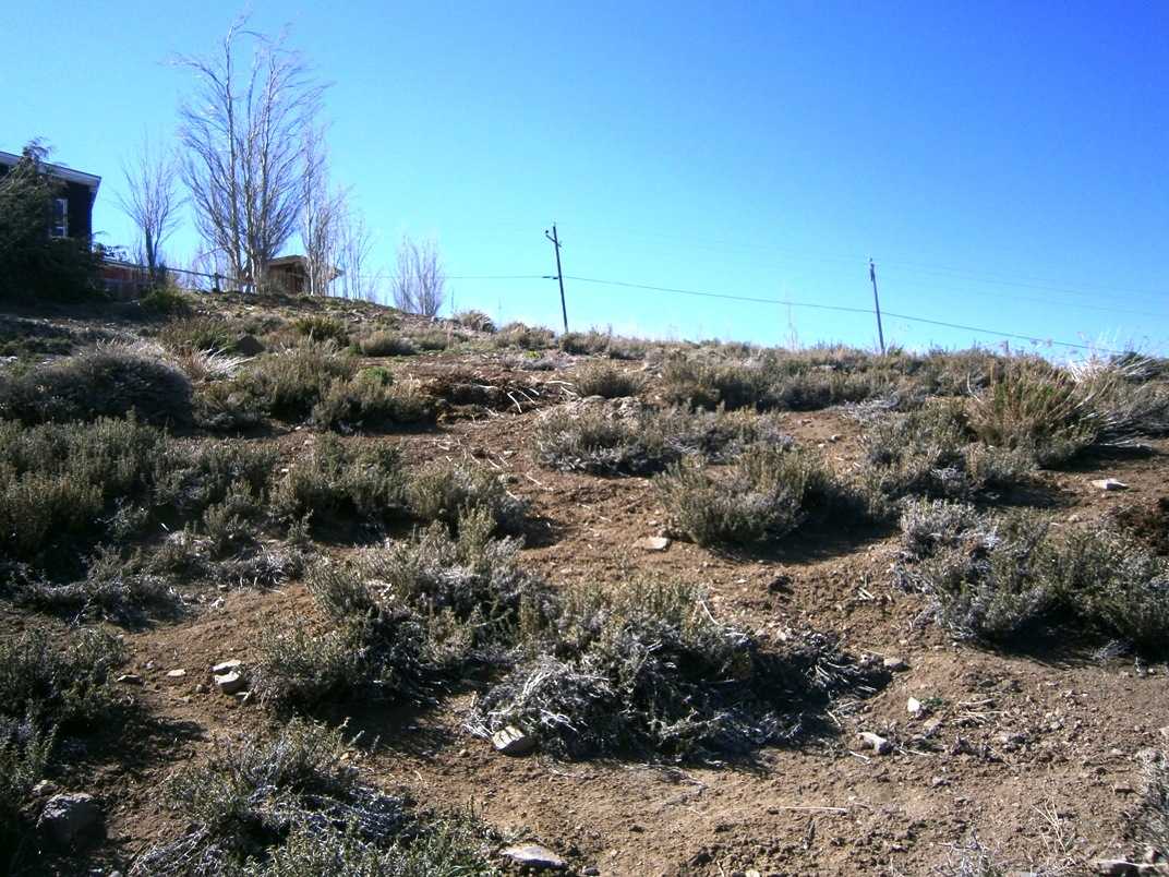 Venta Terreno Lo Barnechea - Región Metropolitana