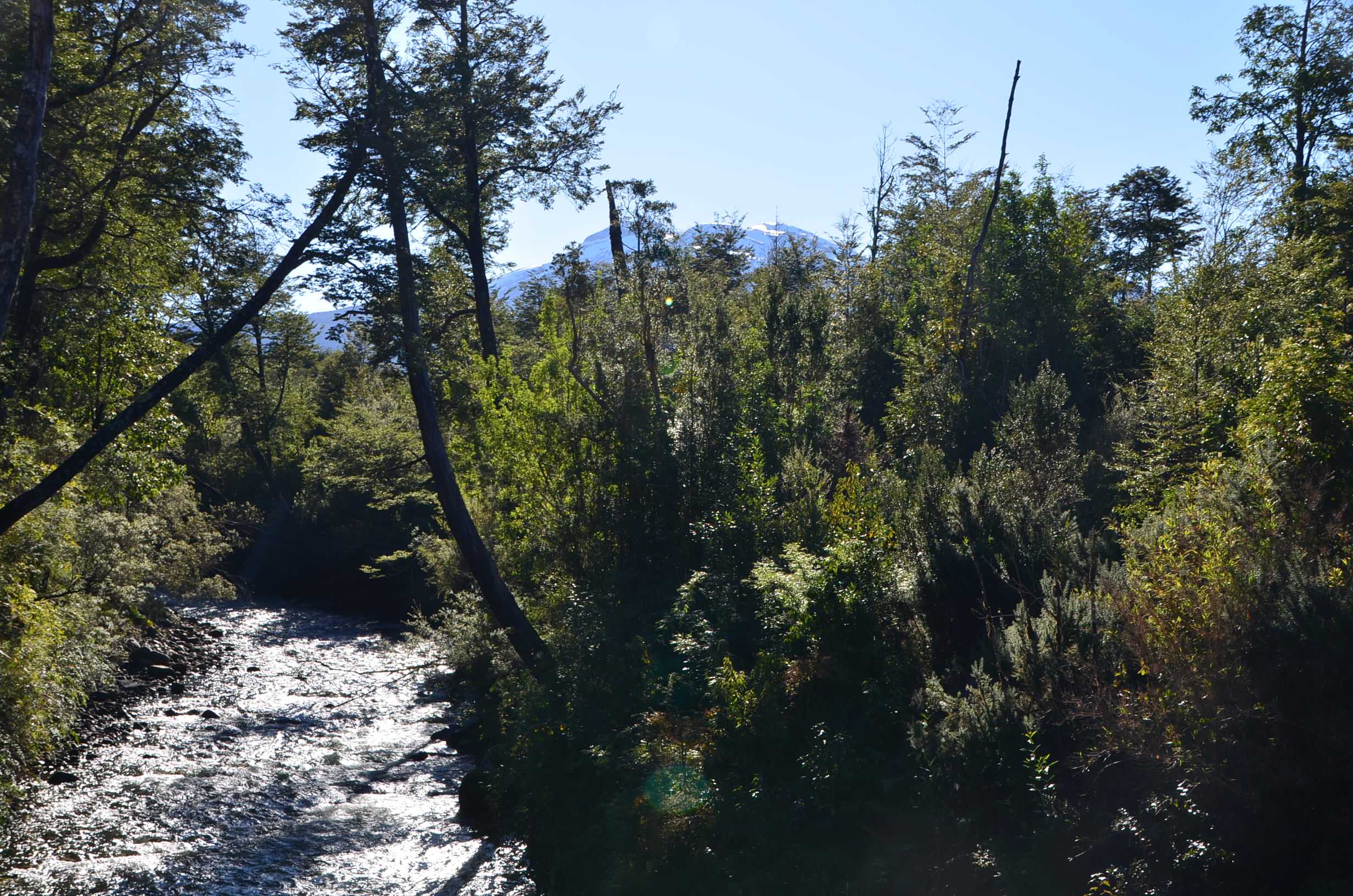 Venta Parcela Puerto Montt - Los Lagos