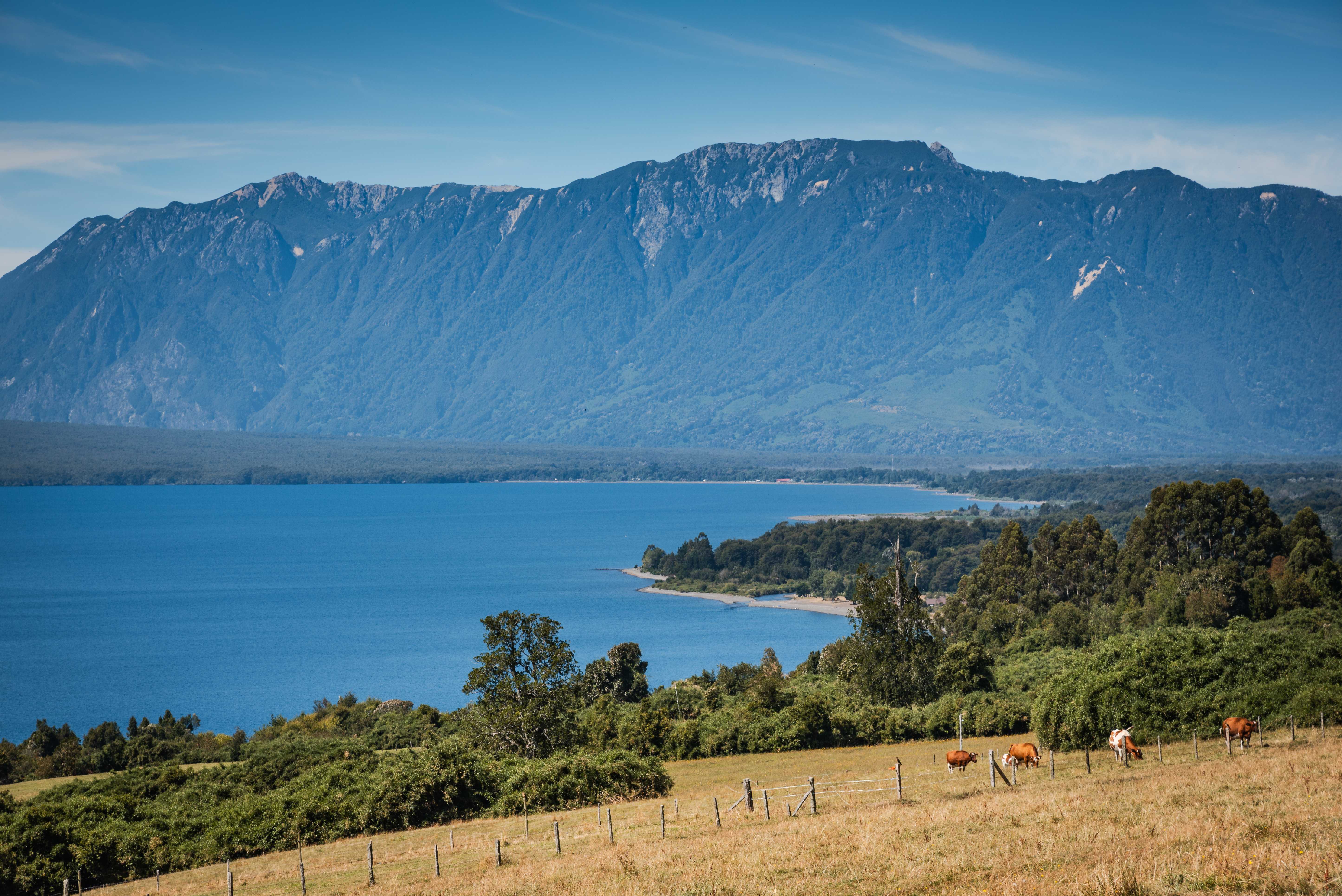 Venta Parcela Puerto Varas - Los Lagos