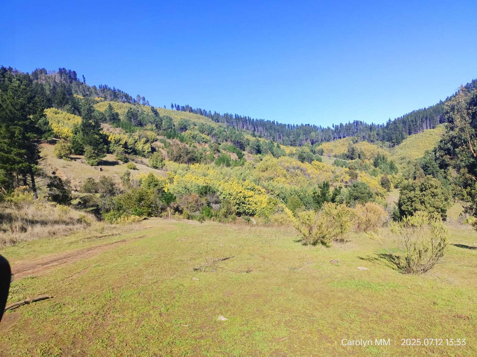 Venta Parcela Chillán - Ñuble