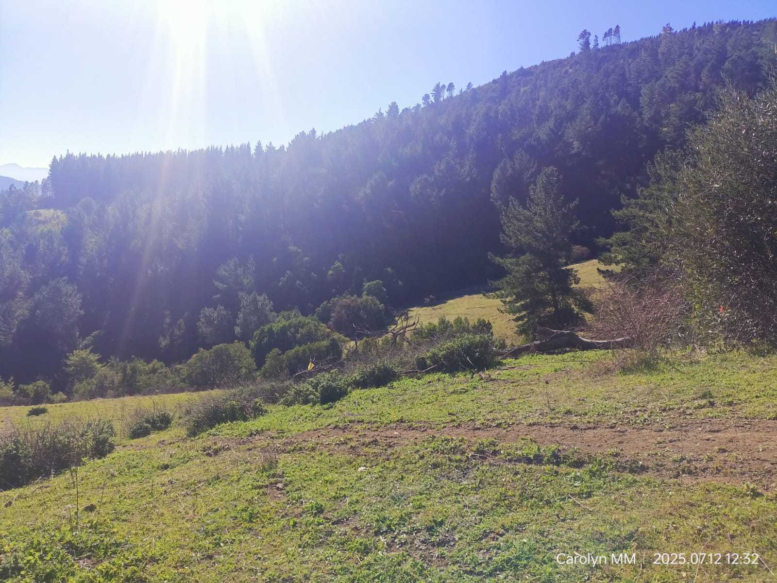 Venta Parcela Chillán - Ñuble