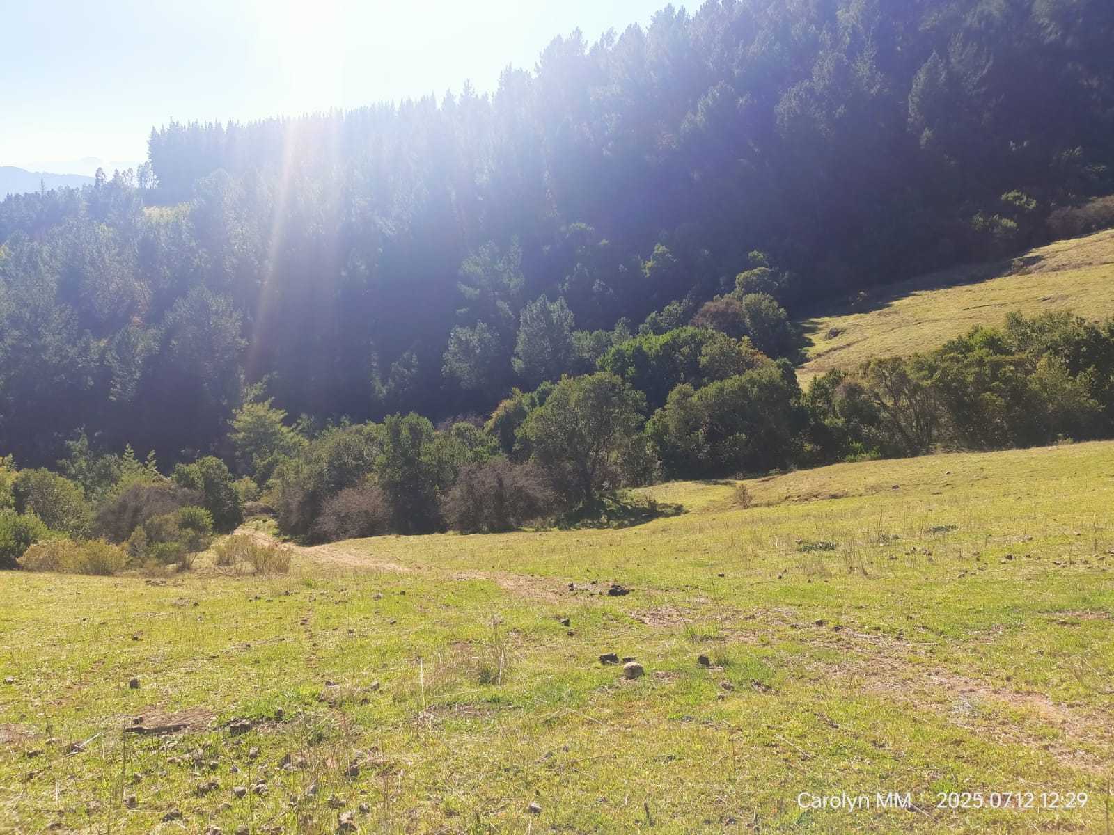 Venta Parcela Chillán - Ñuble